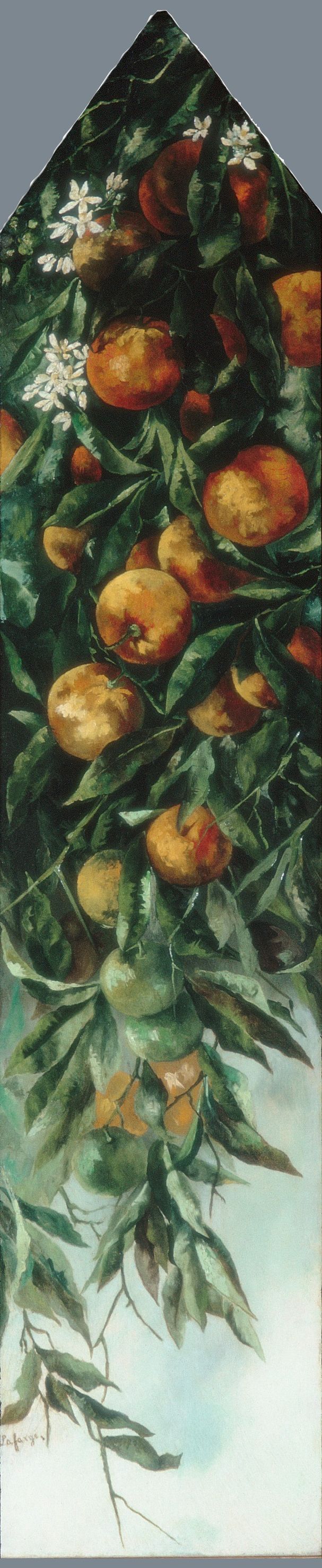 Orange Branch