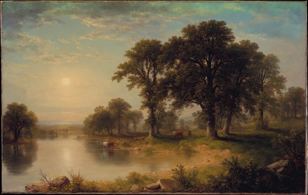 Summer Afternoon
