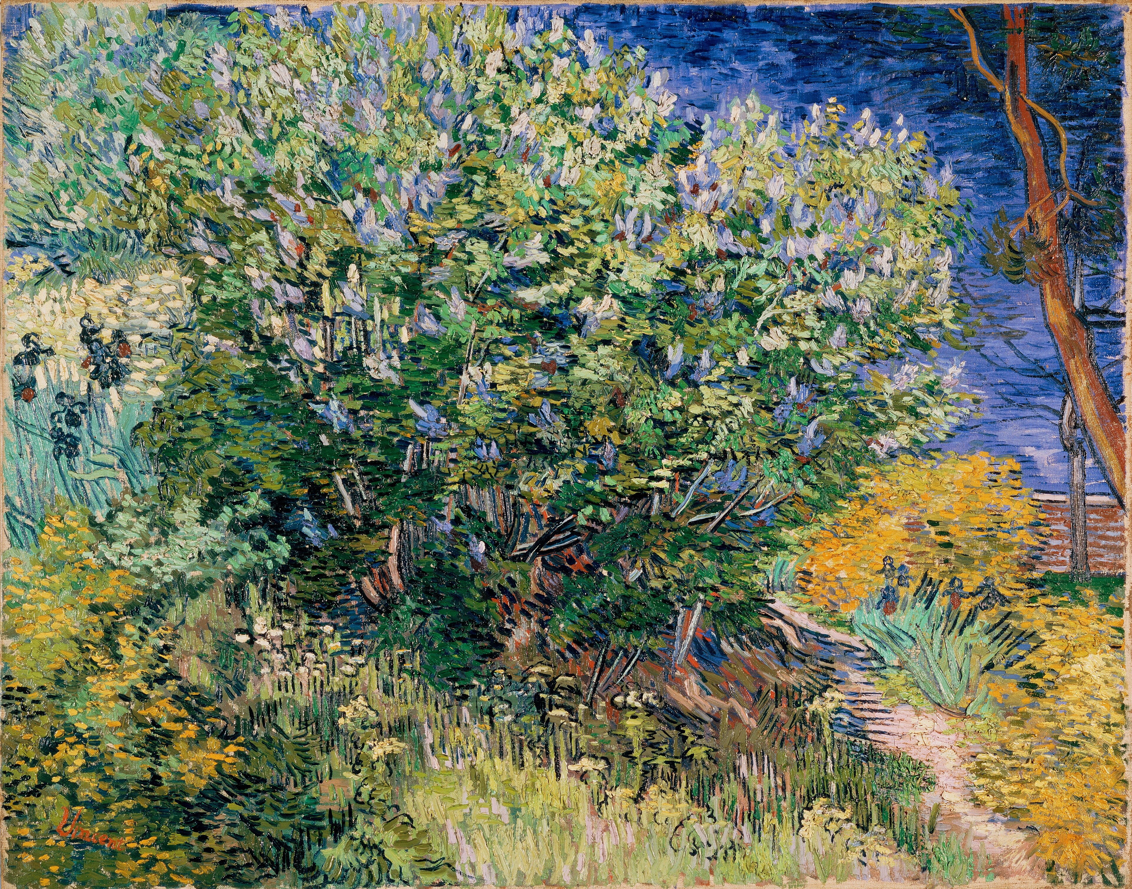 Lilac Bush, 1889-05, by Vincent van Gogh