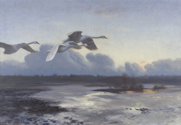 Dutch: Knobbelzwanen op avondtrek by Bruno Liljefors