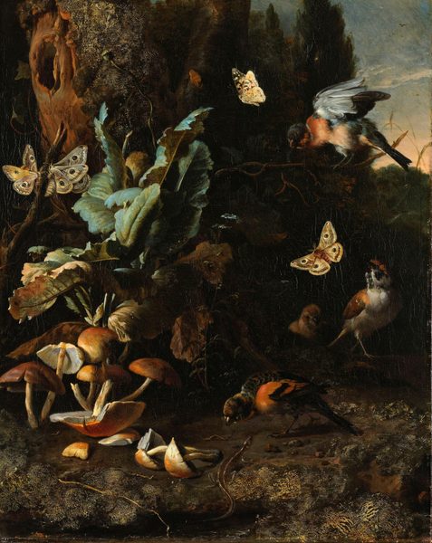 Animals and Plants (1668), oil on canvas, 66 x 52.5 cm., Rijksmuseum by Melchior d'Hondecoeter