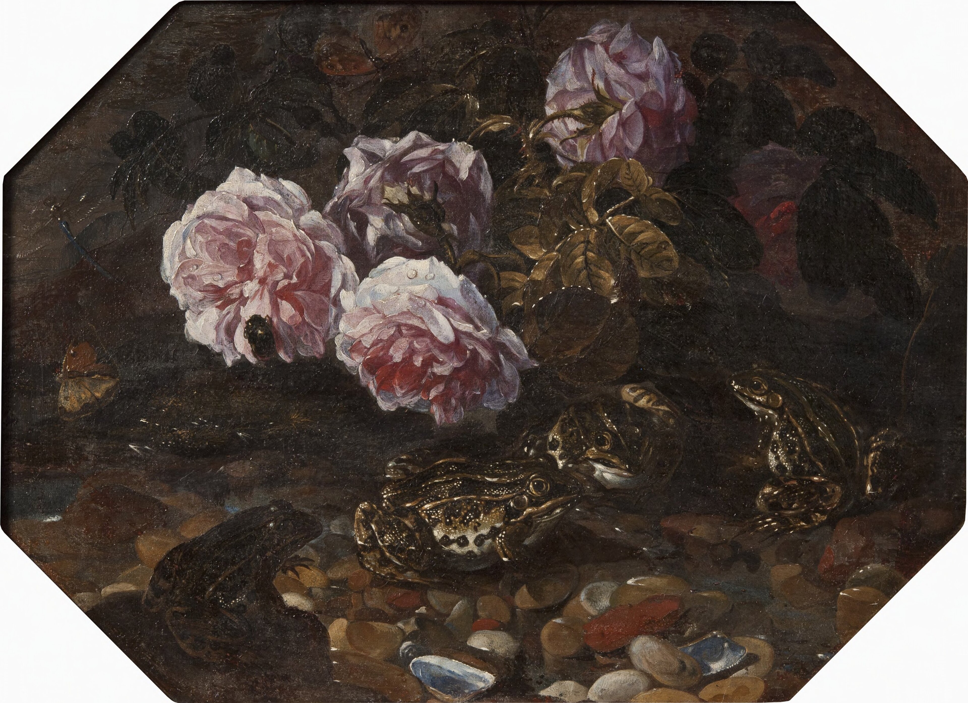 Still-life with frogs, wild roses, shells and butterflies by Paolo Porpora