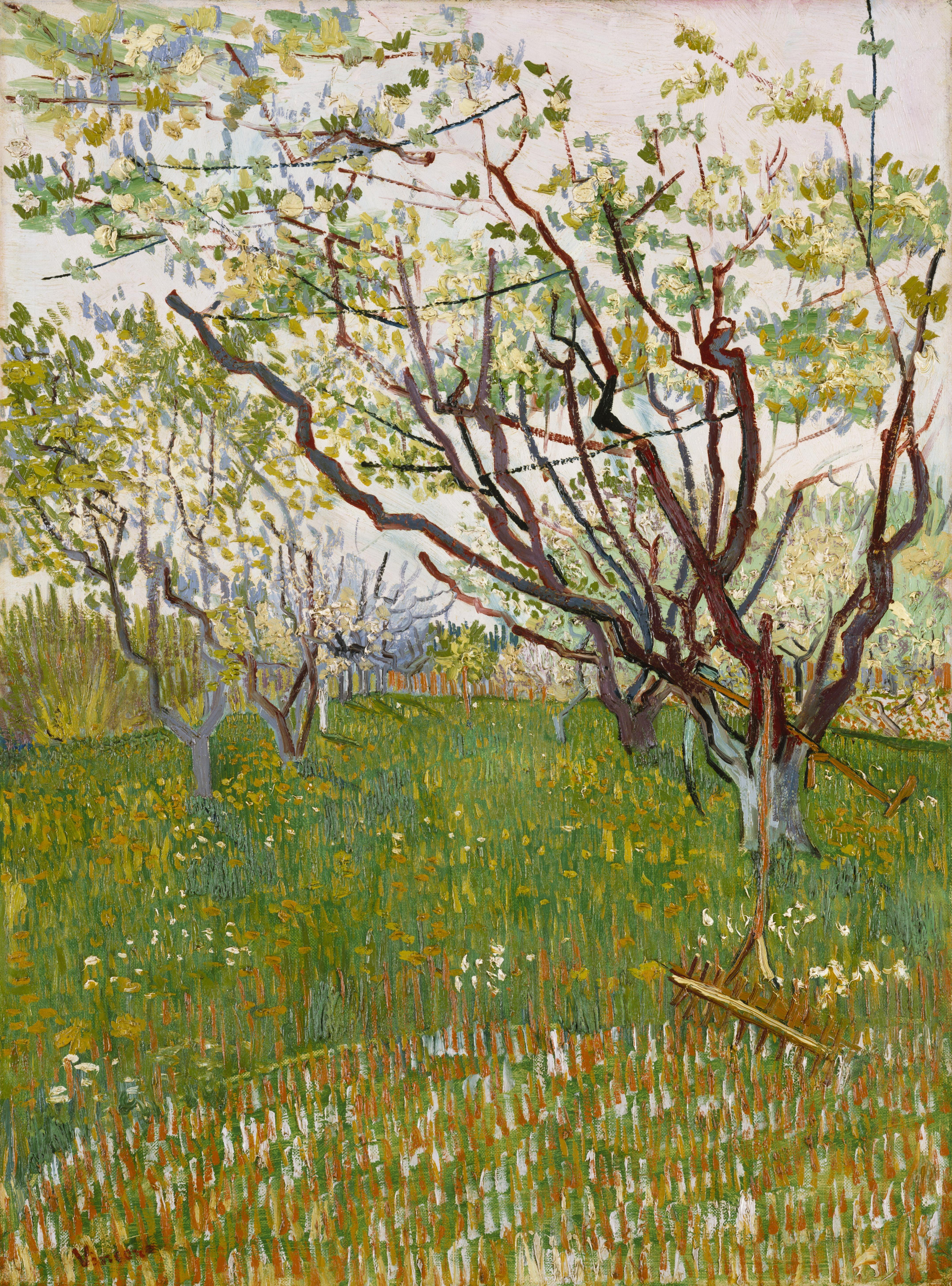 The Flowering Orchard, 1888, by Vincent van Gogh