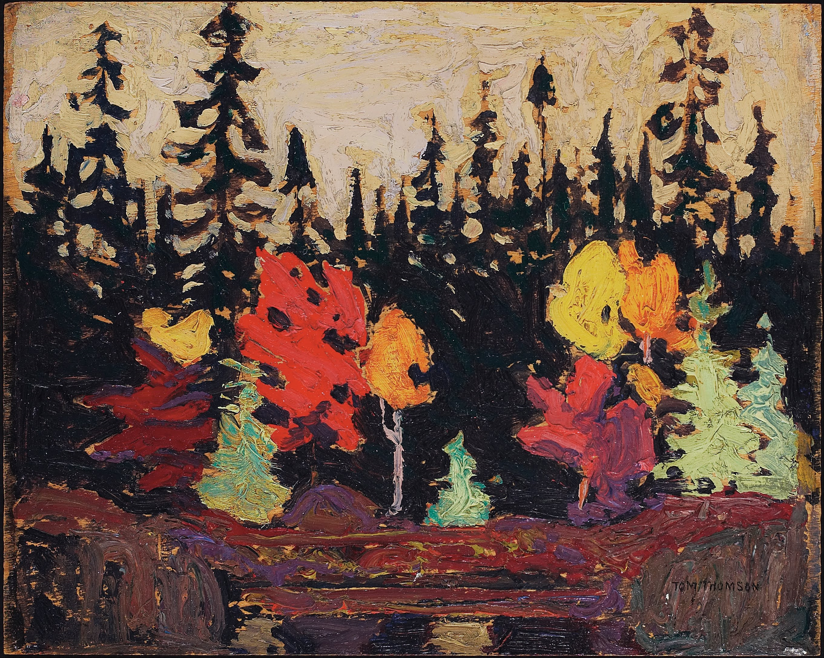Black Spruce and Maple