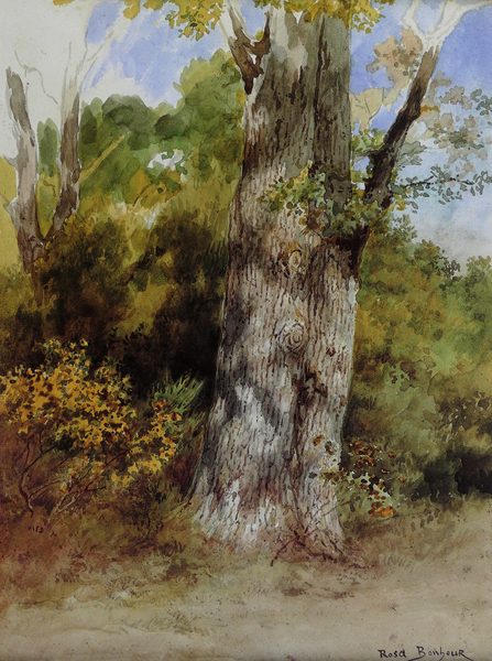 Rosa Bonheur chêne aquarelle by Rosa Bonheur