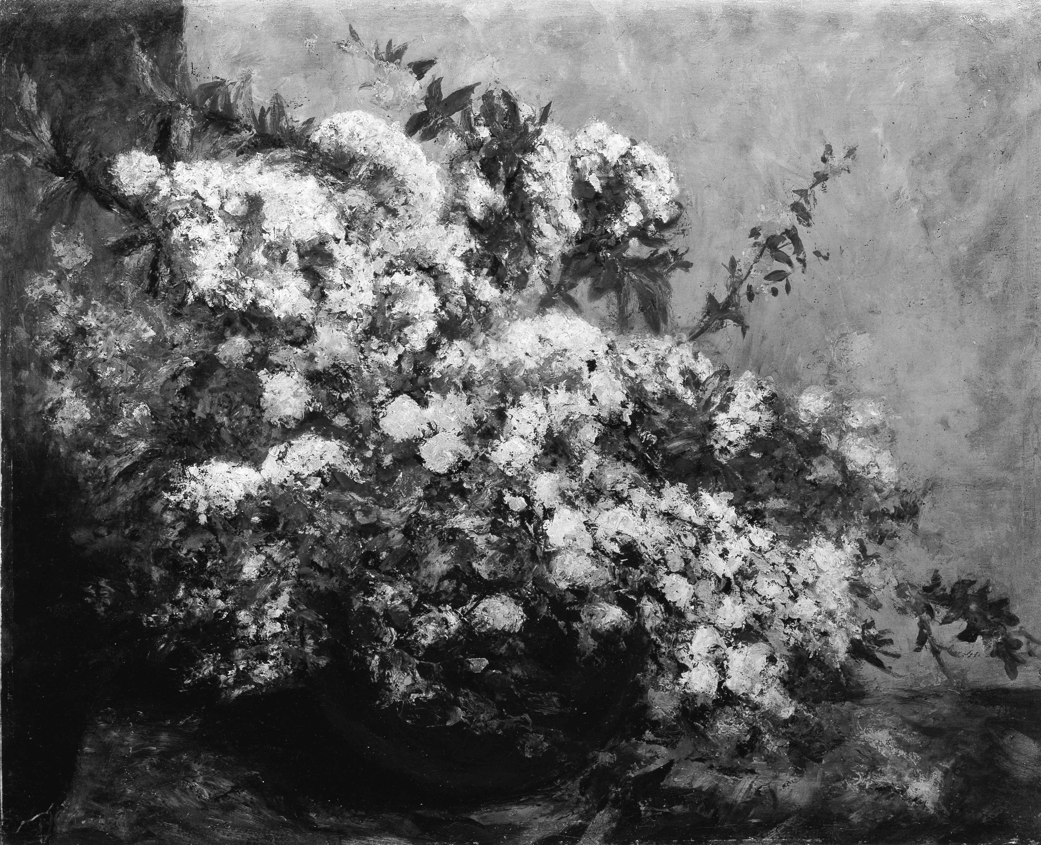 Spring Flowers