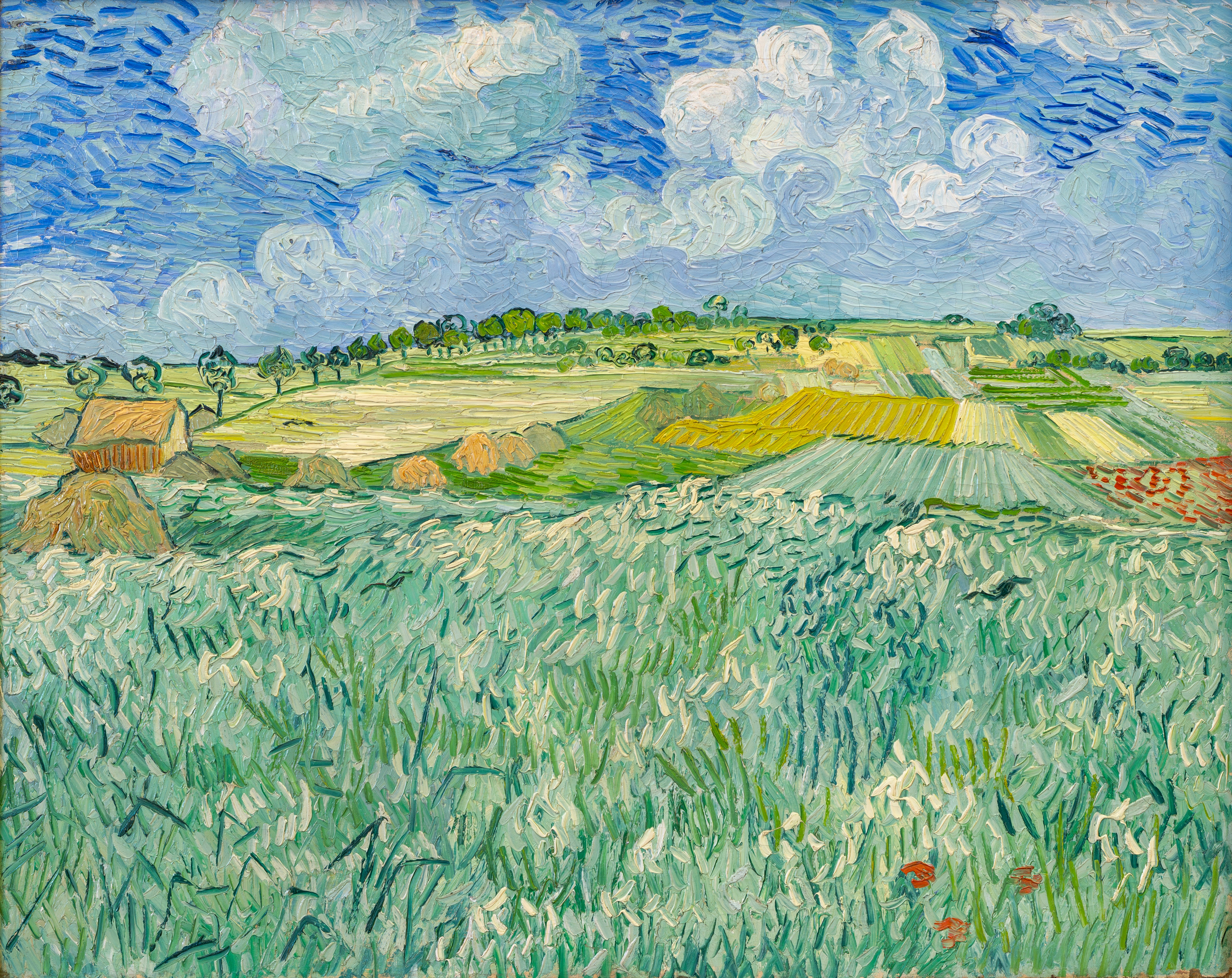 Plain near Auvers, 1890, by Vincent van Gogh