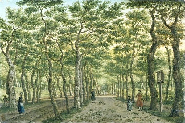 The Herepad in the Haagse Bos. Alternative title(s): De Scheveningse Bosjes bij Den Haag [oude titel]. [ 1 ] by Paulus Constantijn la Fargue