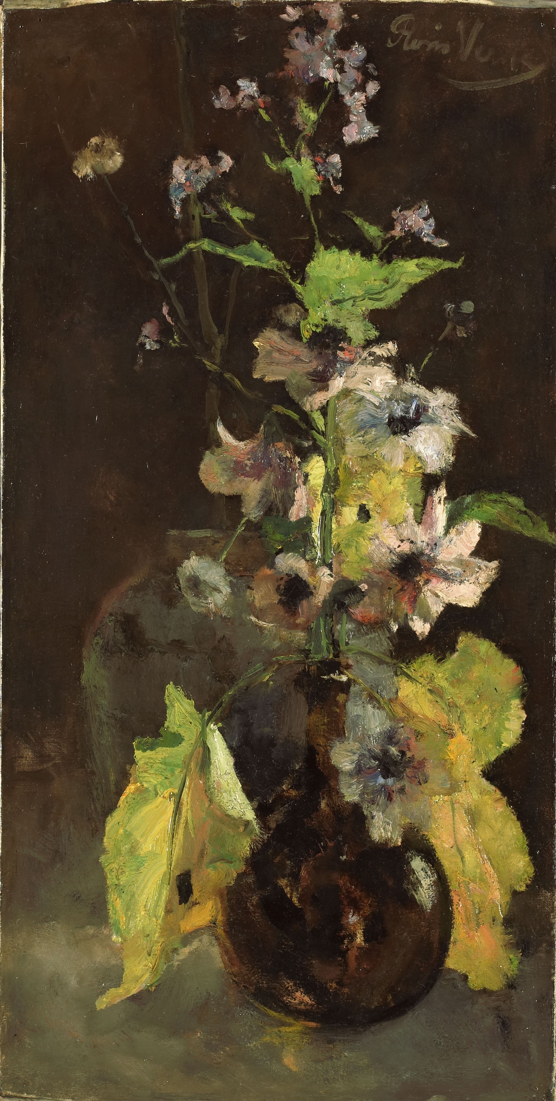 Anemones by Floris Verster