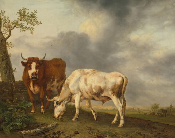 Oxen in the Meadow by Jan Kobell II