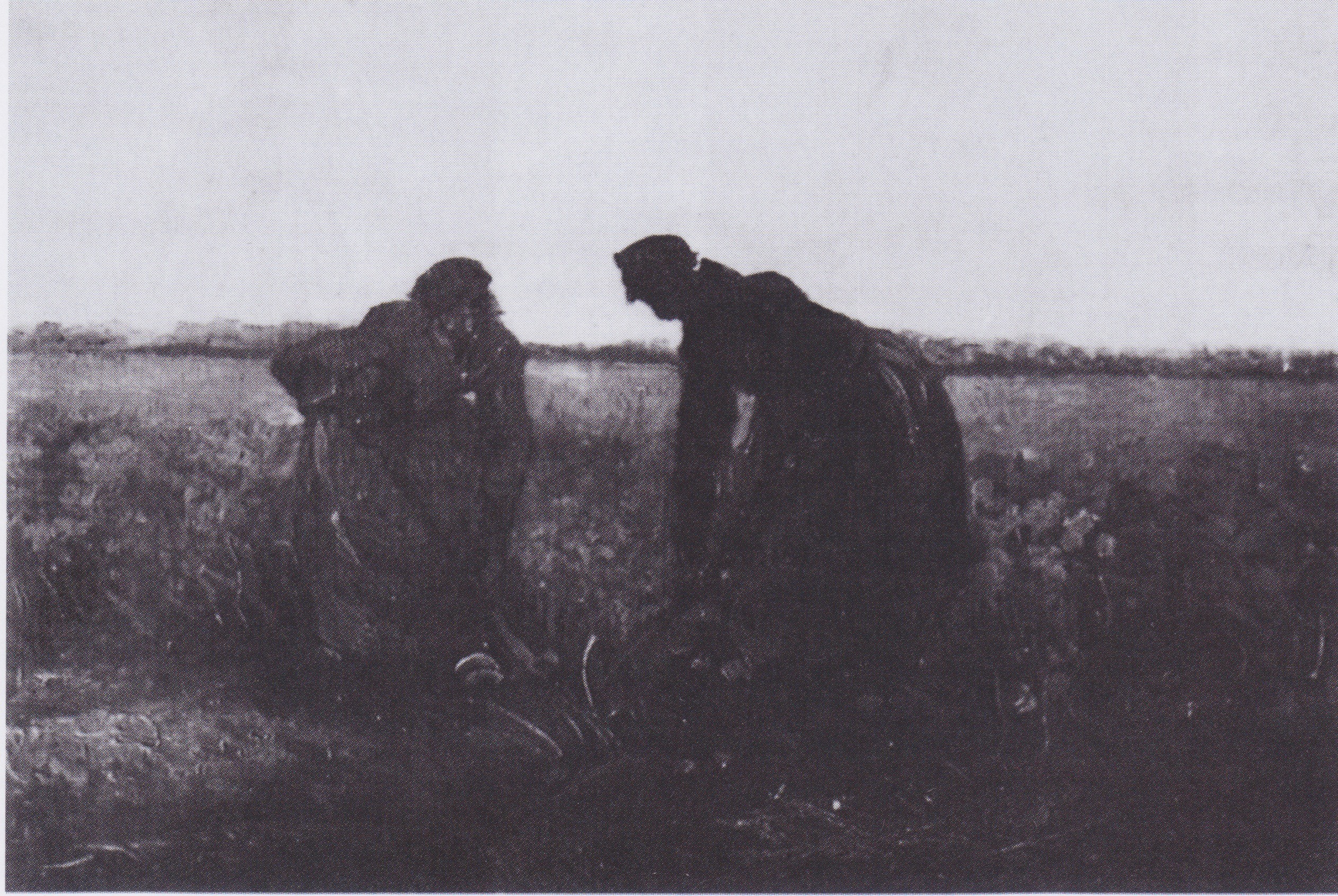Two Peasant Women Digging, 1885-07, by Vincent van Gogh