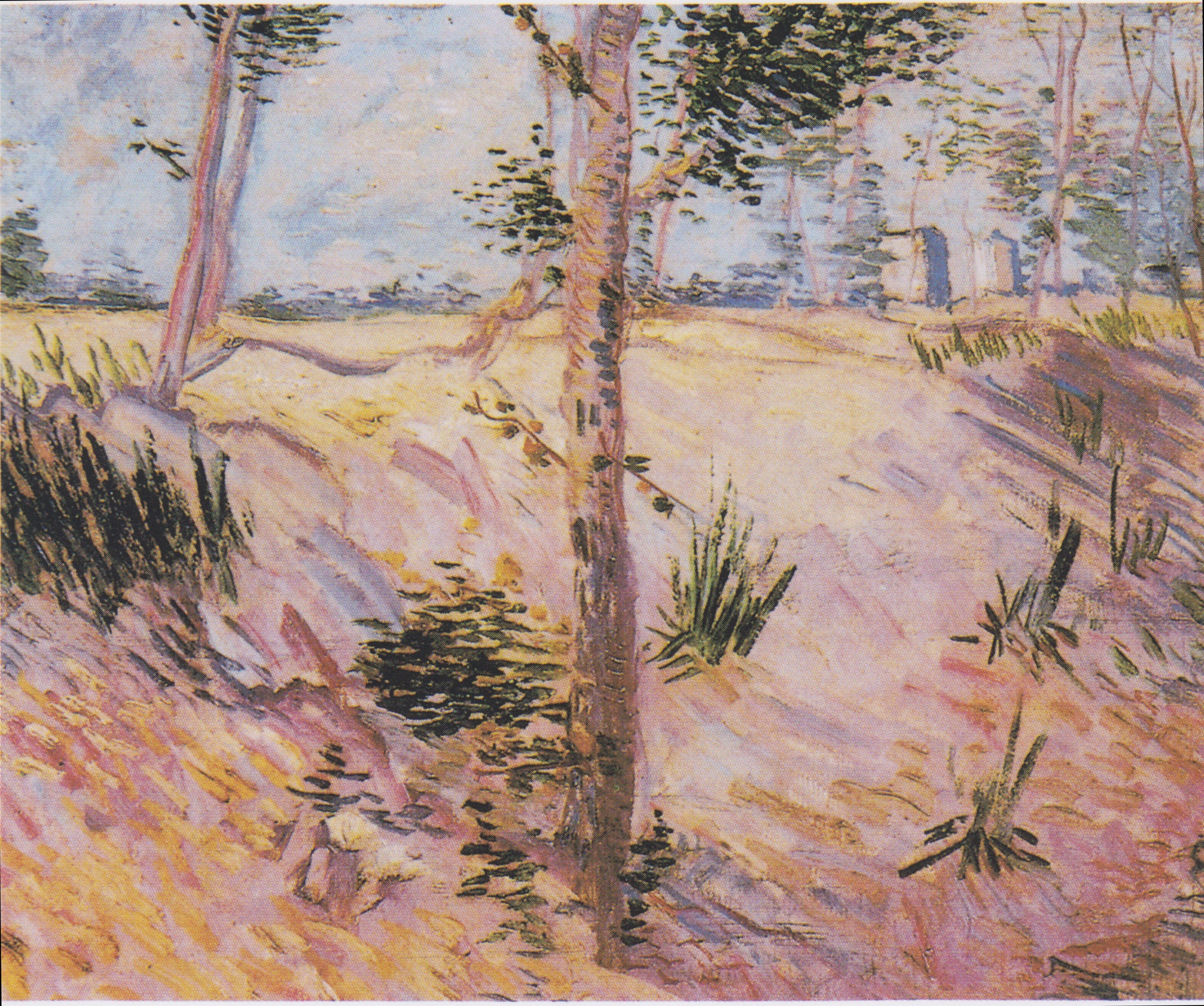 Trees on a slope, 1887, by Vincent van Gogh