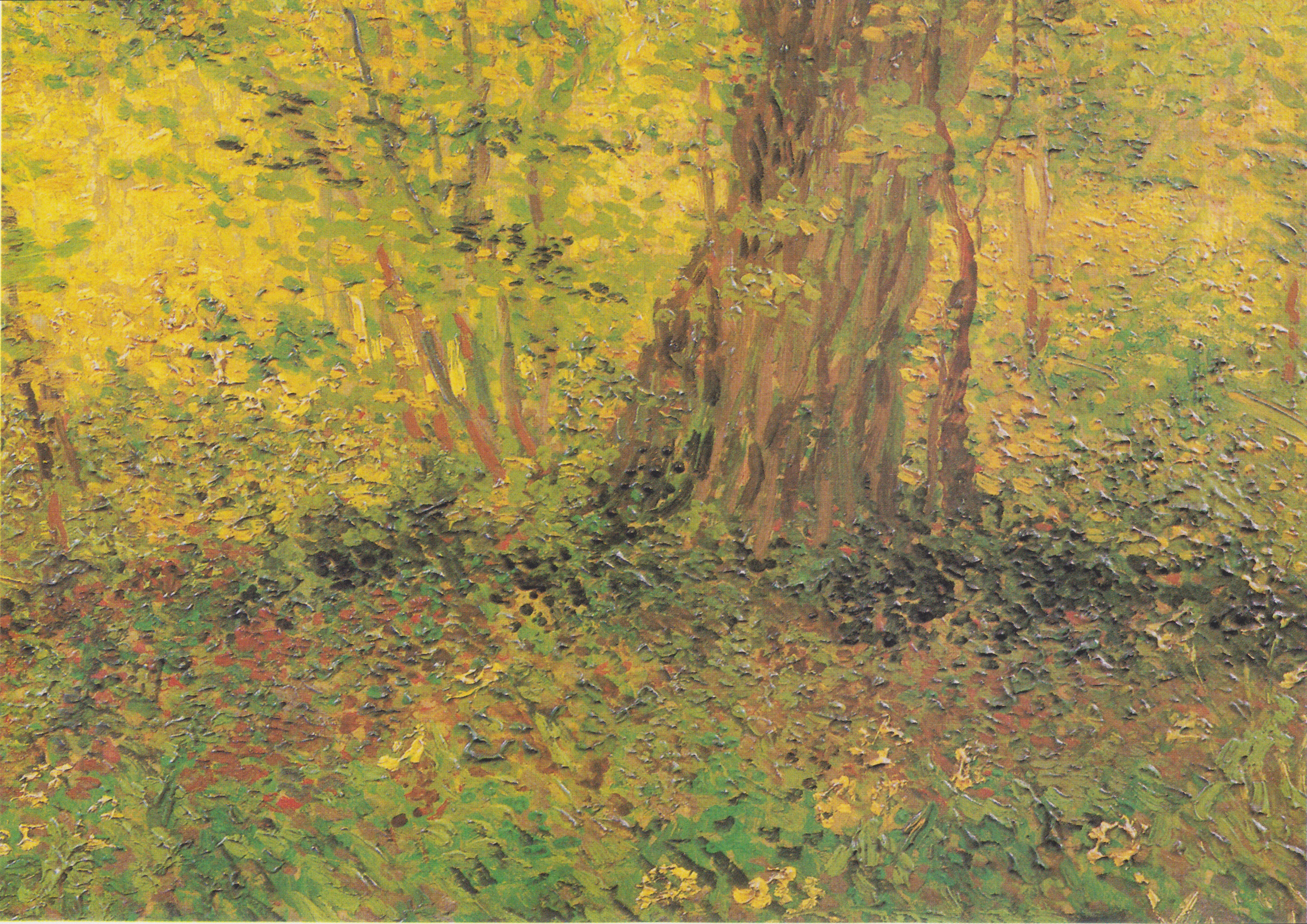 Undergrowth, 1887, by Vincent van Gogh