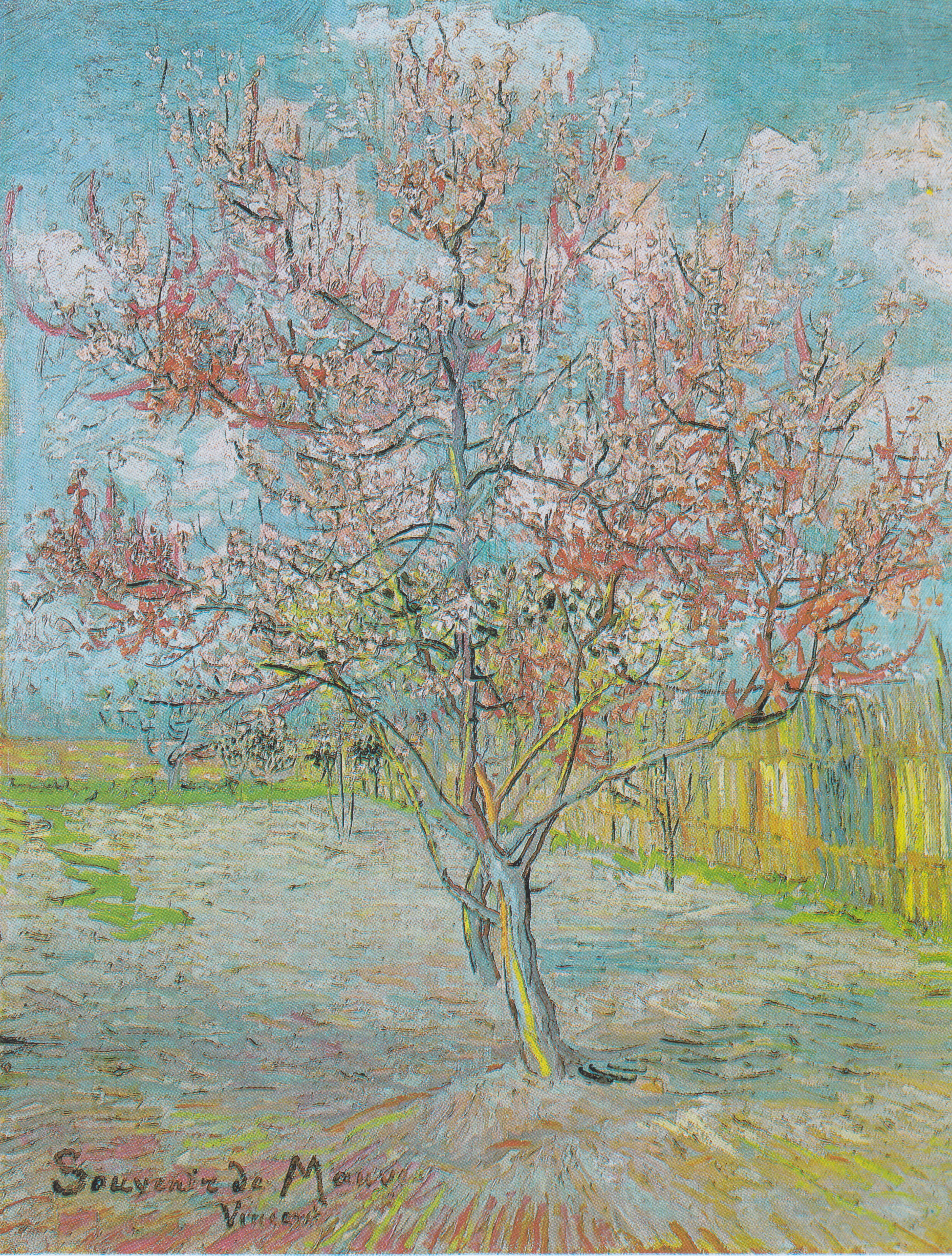 Flowering peach tree, 1888-03, by Vincent van Gogh
