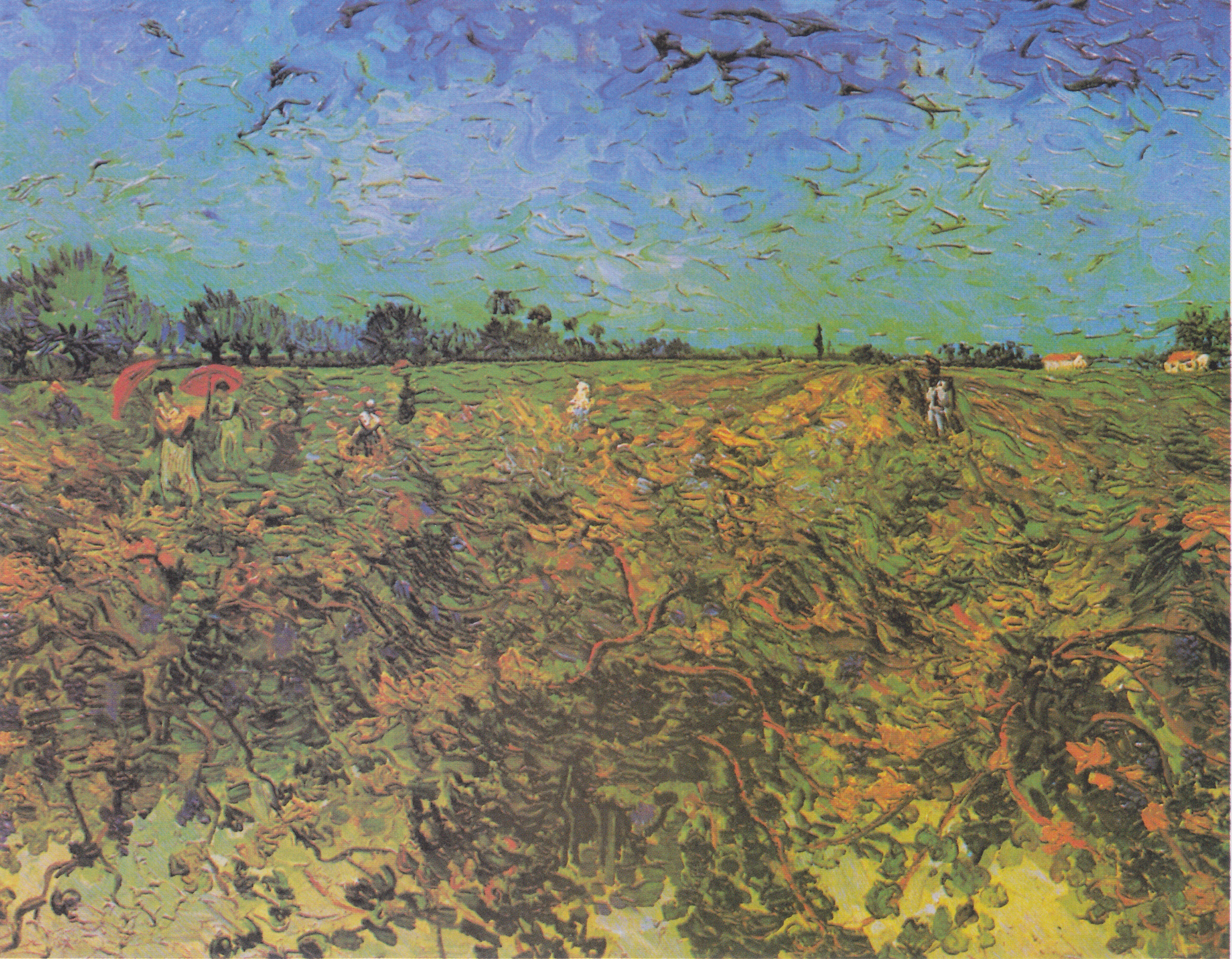 The green vineyard, 1888-09, by Vincent van Gogh