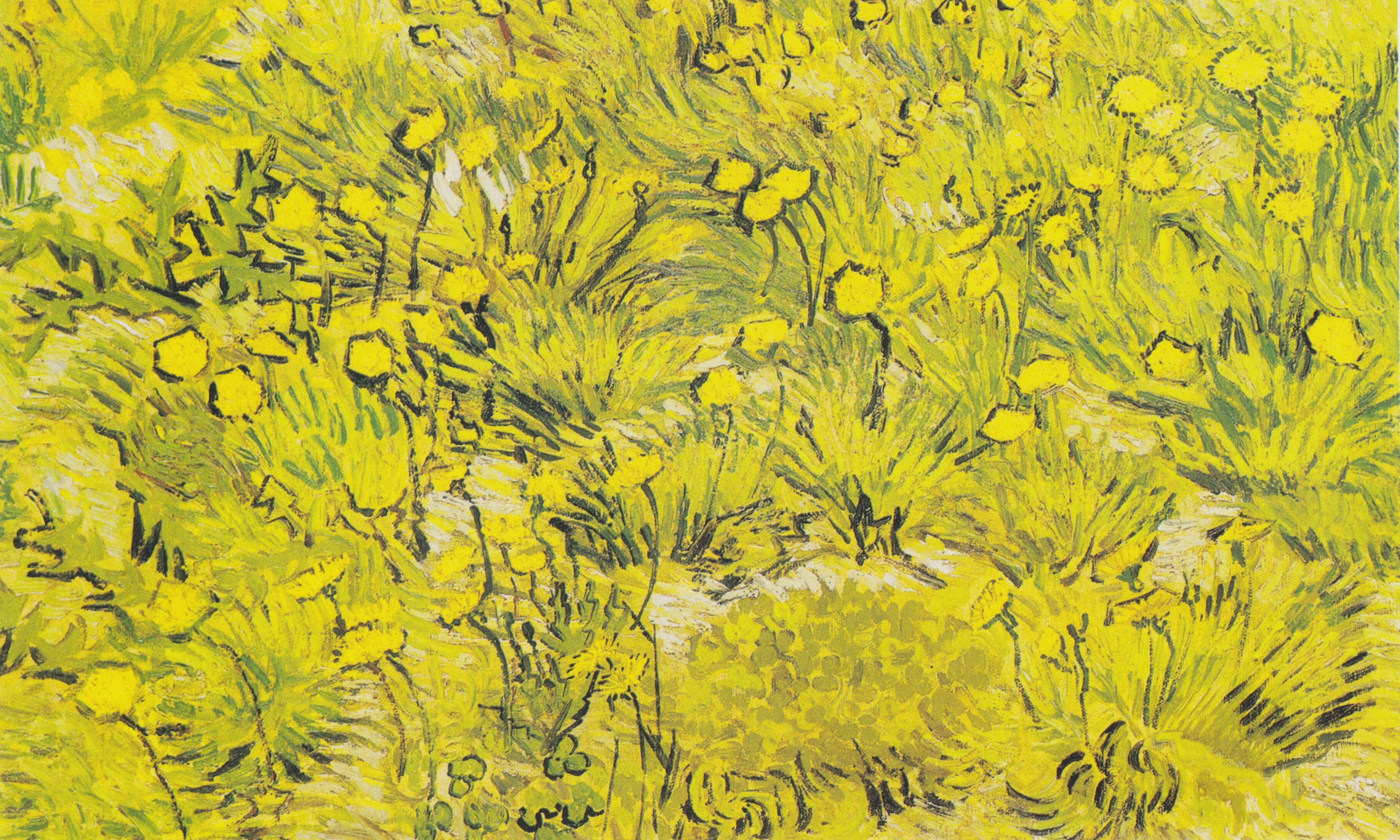 Meadow with yellow flowers, 1889-04, by Vincent van Gogh