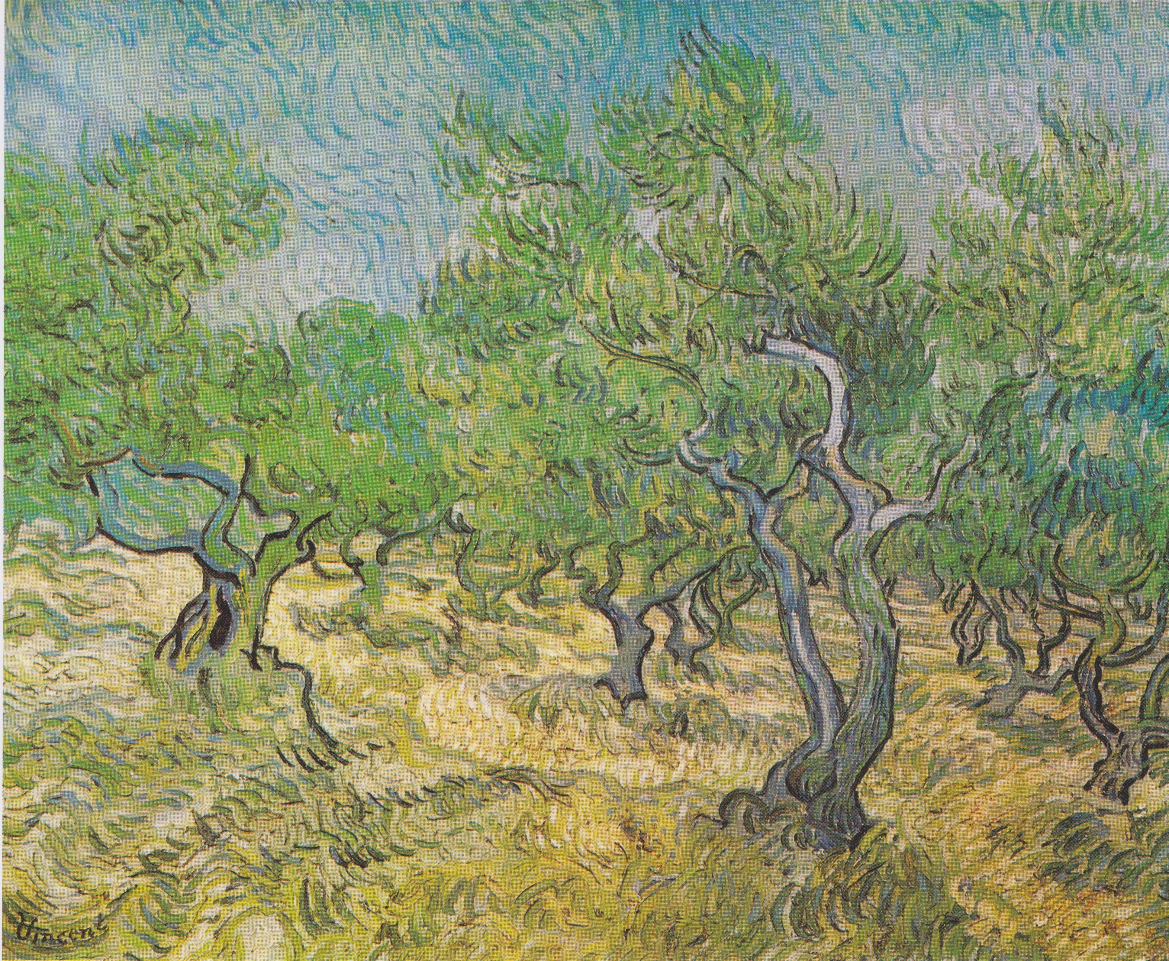Olive Grove, 1889-06, by Vincent van Gogh