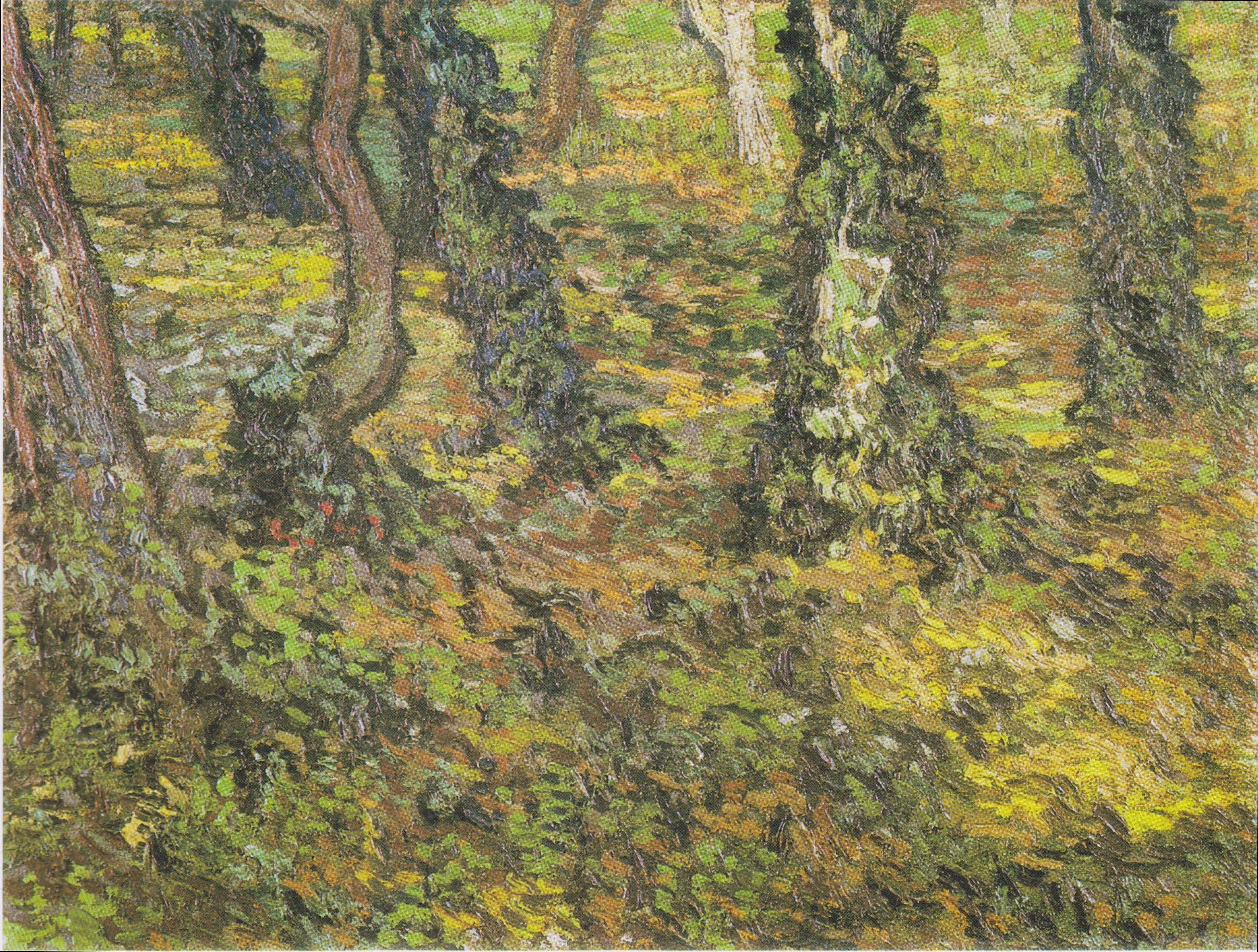 Tree Trunks with Ivy, 1889, by Vincent van Gogh