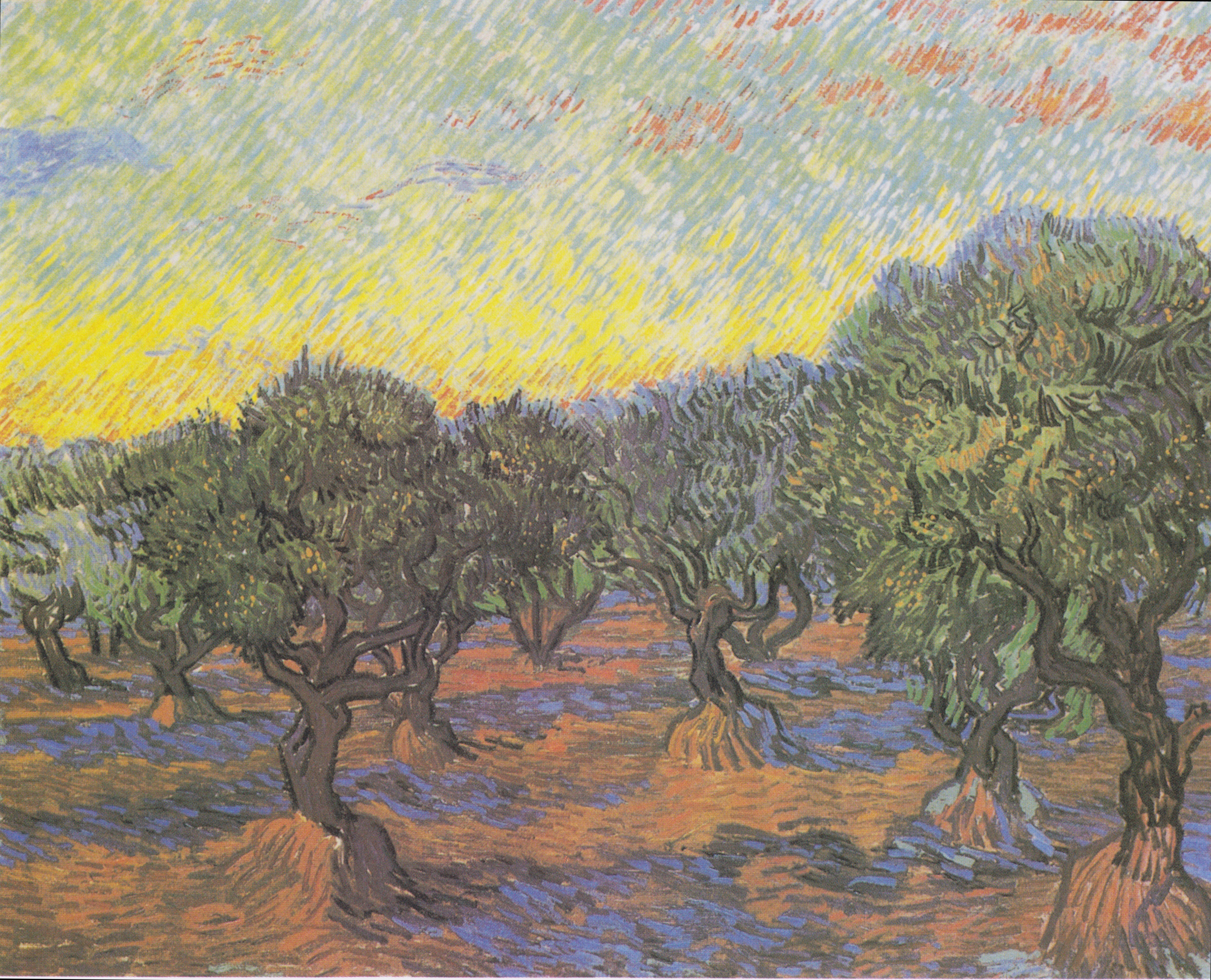 Olive Grove: Orange Sky, 1889-11, by Vincent van Gogh