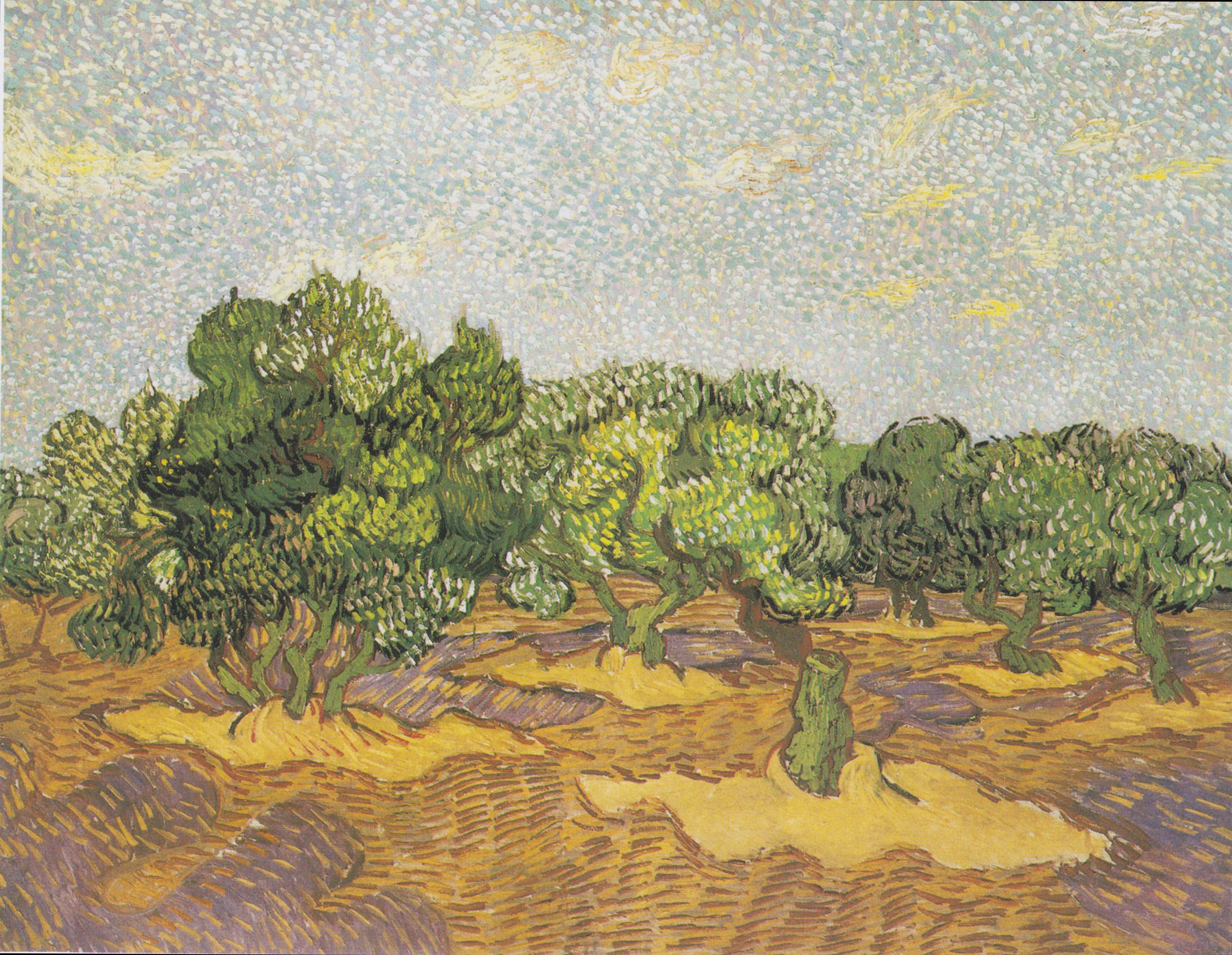 Olive Trees, 1889-11, by Vincent van Gogh