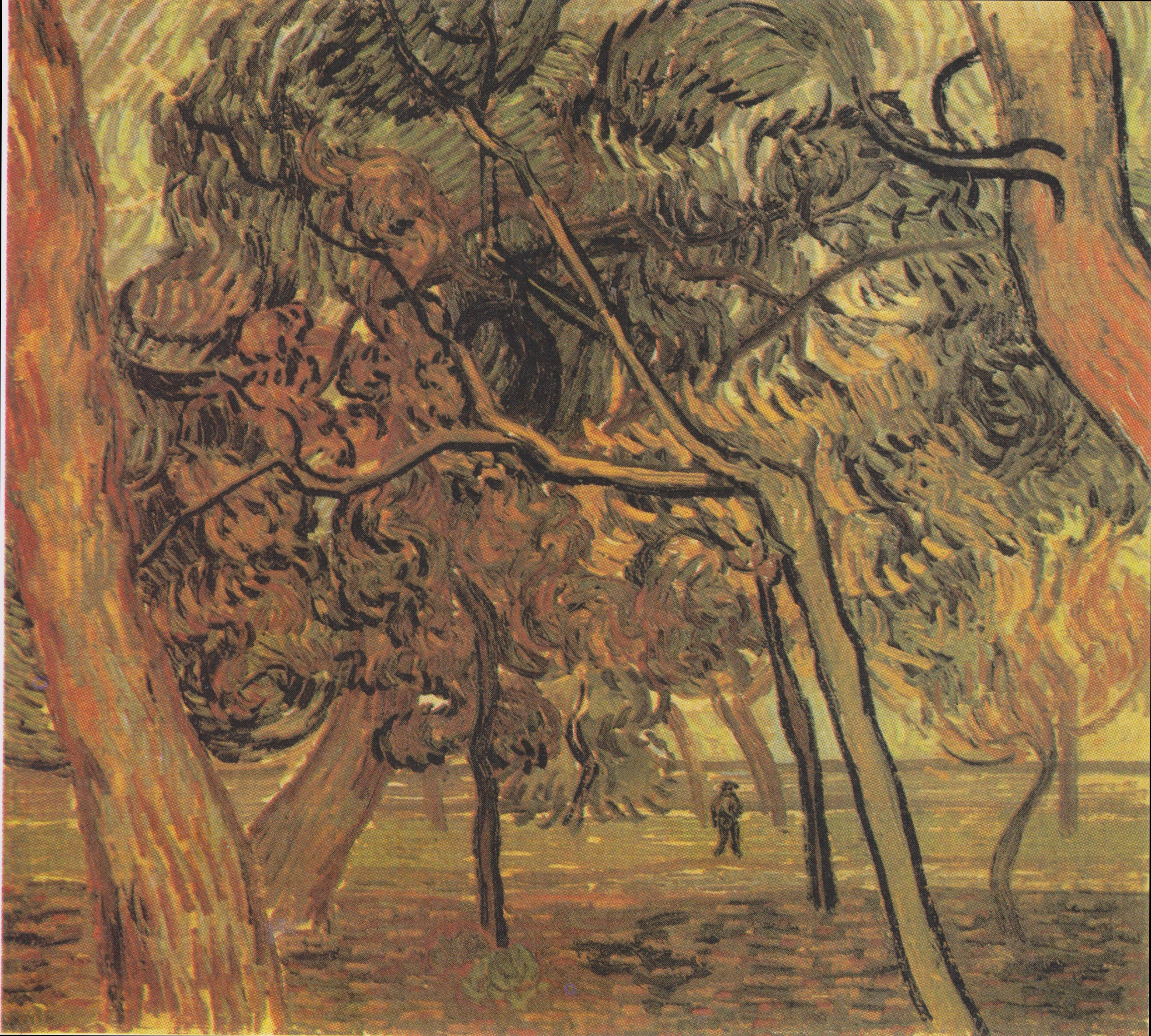 Study with spruce in the fall, 1889-11, by Vincent van Gogh