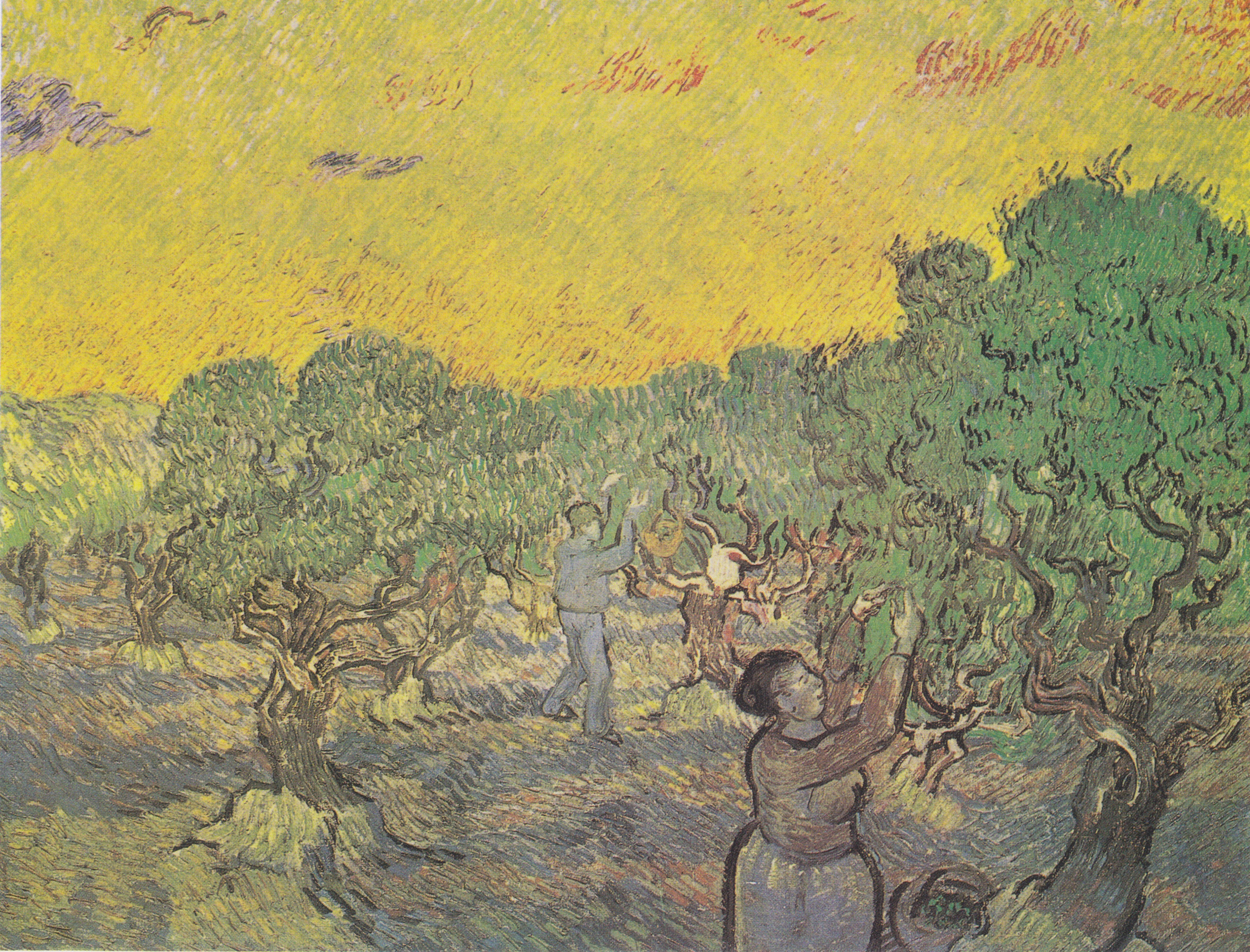 Olive Grove with Picking Figures, 1889-12, by Vincent van Gogh