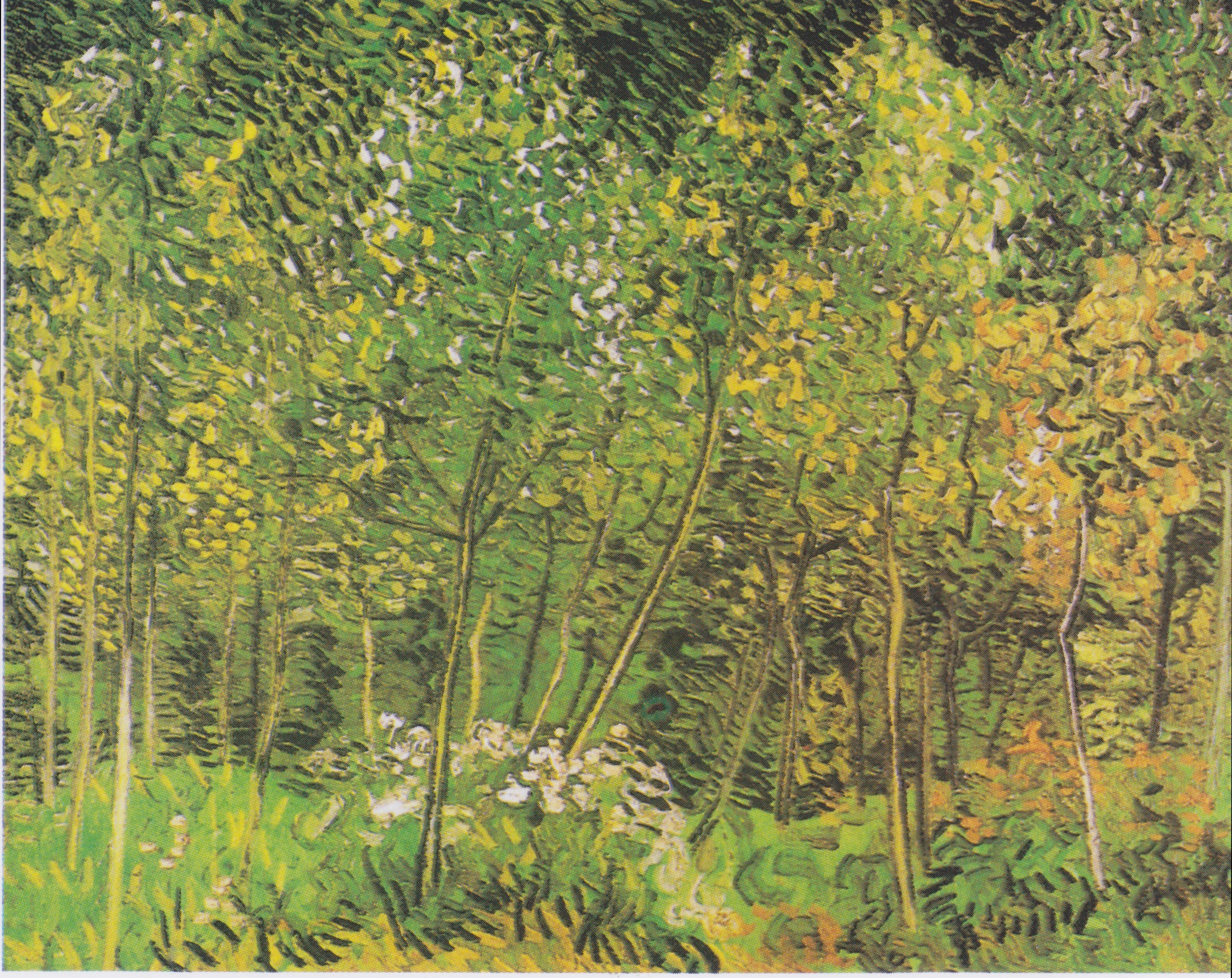 Grove, The, 1890, by Vincent van Gogh