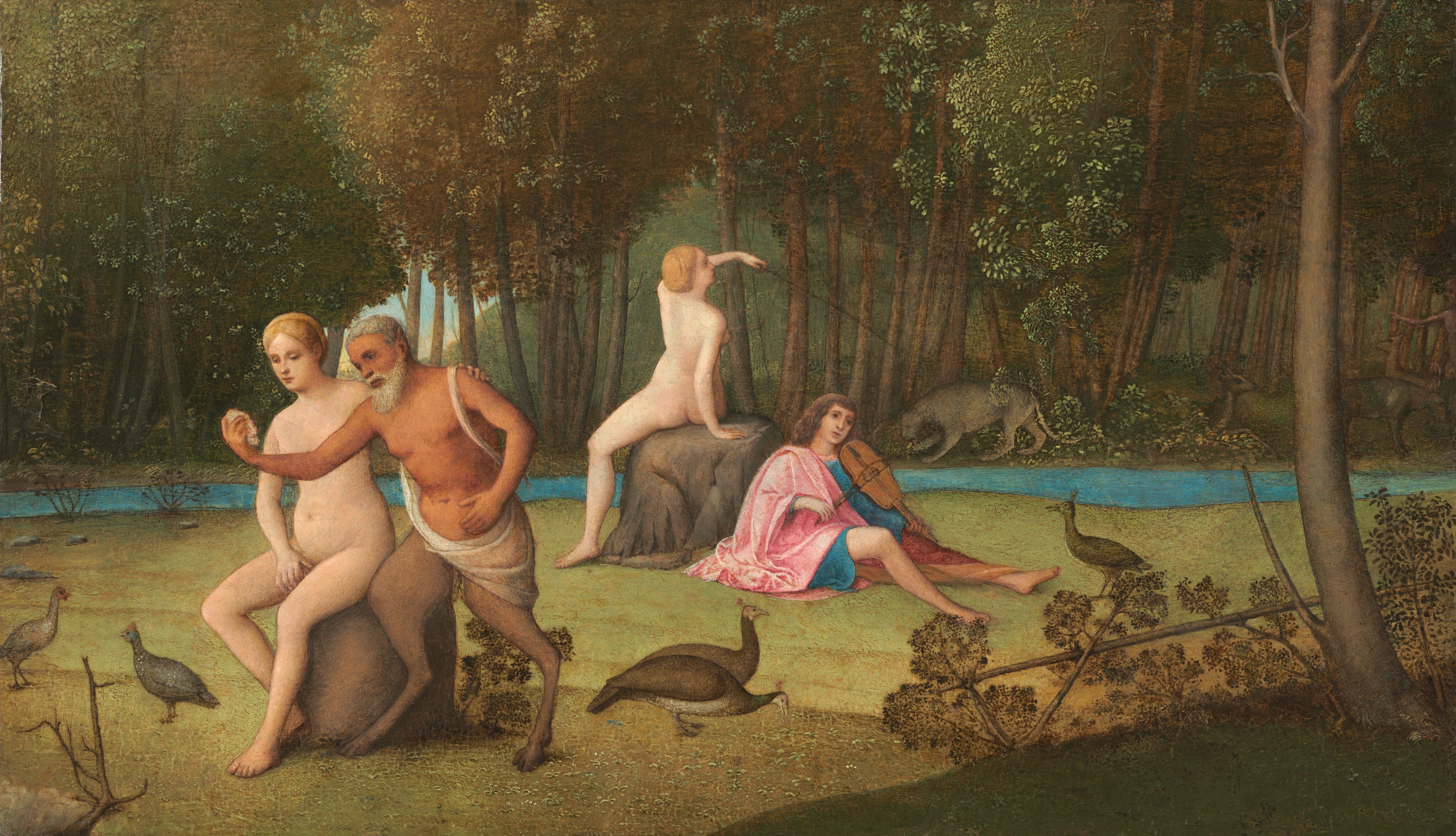 Two women, a man, and a satyr, a man with goat’s legs, are in two pairs in a forested landscape in this horizontal painting. The pale-skinned women are nude, and their blond hair is tied up and back. One woman sits on a brown boulder to the left of center. One hand covers her groin, and the other hand rests on the satyr’s shoulder. The satyr has deeply tanned skin, short white hair, and a long white beard. A white cloth wraps over one shoulder and across his hips. He holds up an object, perhaps a shell, with one hand. That arm crosses over the woman’s breasts. His other hand is by his lower belly, and he looks at the shell. A bit farther back and to our right, a second nude woman also sits on a boulder. She faces away from us and holds up a long stick with her left arm, which arcs over her body. A clean-shaven, pale-skinned man sits with his back against the boulder. He has long brown hair and looks off to the distance to our right. He wears a carnation-pink robe over a sapphire-blue tunic. His legs splay in front of him, his feet bare, as he holds a bow to a violin-like instrument tucked under his chin. The two pairs sit in a grassy glade occupied also by five pheasant- or peacock-like birds. A thin river running behind the glade is lined with spindly trees that together make an impenetrable bronze-brown and laurel-green canopy. The second woman’s stick points or is directed to a gray, mountain lion-like cat on the far bank. Closer inspection reveals deer and another person, who points, tucked among the trunks. A glimpse of blue sky is visible through a break in the tree trunks.