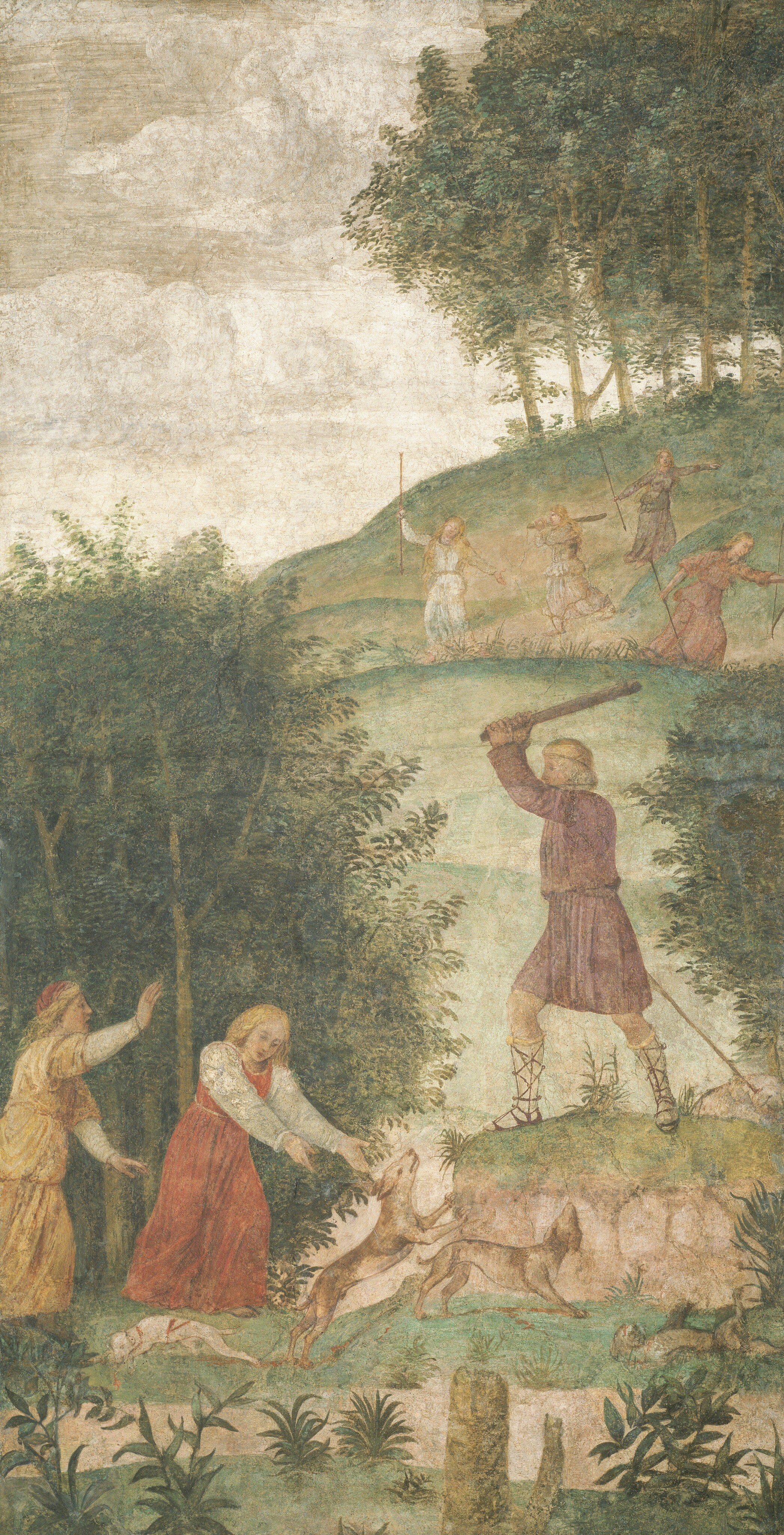 This is a painting of a hunting scene involving several animals in a wooded landscape. The foreground shows a group of hounds engaging with a downed animal on a grassy area surrounded by vegetation. Above them, a figure in purple garb raises an arm. The figures are positioned on an incline that spirals upwards into a dense backdrop of tall trees. Light filters through the branches creating a serene backdrop of cloudy skies. The composition uses natural color tones to depict depth and distance in a rural environment. This is in the style of Piero di Cosimo.
