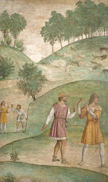 The Misfortunes of Cephalus