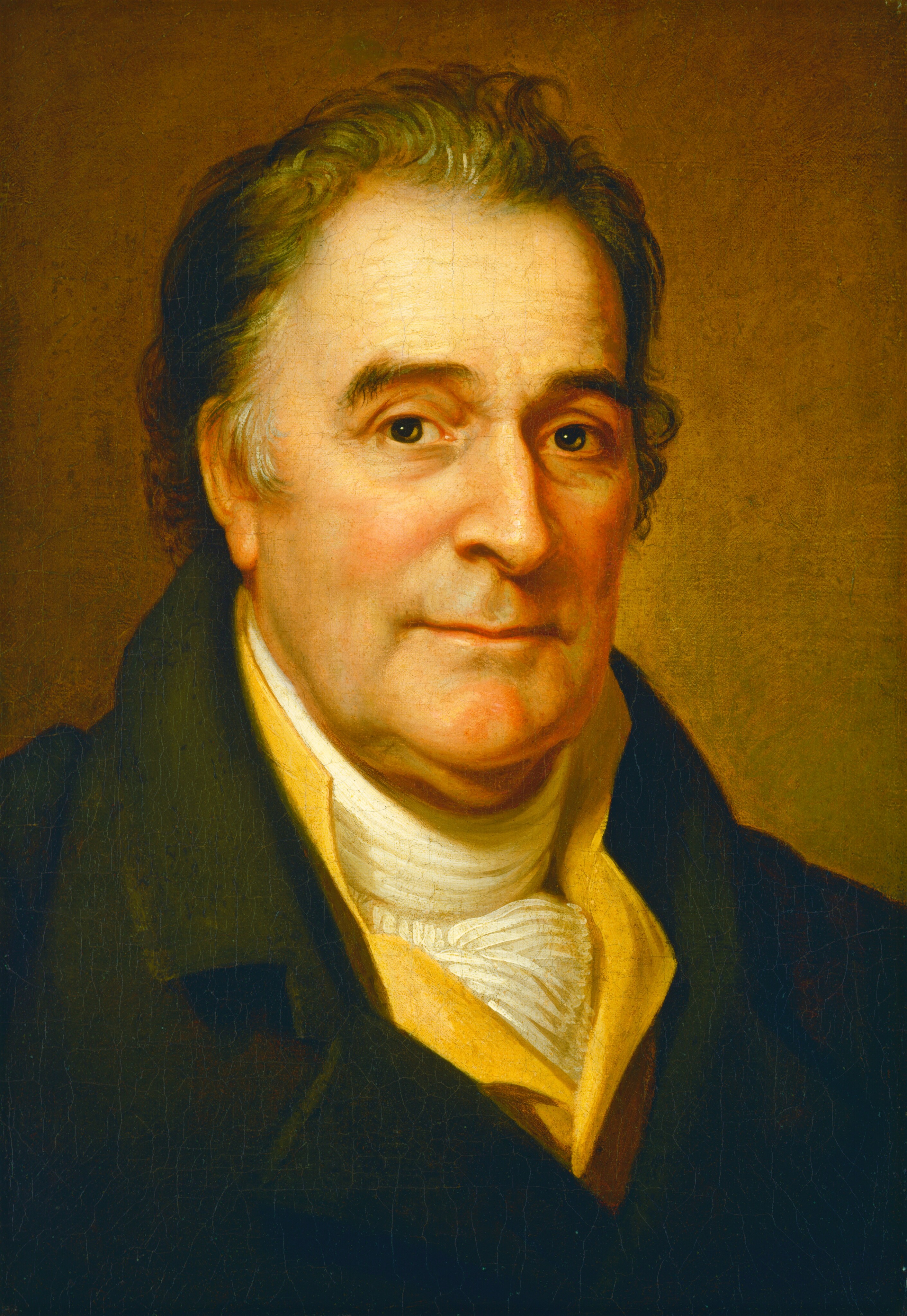 The image shows a man's upper body, focusing on his head and shoulders. He is facing slightly left, looking at the viewer. The man has fair skin, dark eyes, and slightly arched eyebrows. His hair is dark brown with a few grey strands and styled in soft waves. He is wearing a dark jacket, a white high-collared shirt, and a light-colored cravat. The background is a uniform warm tone.
