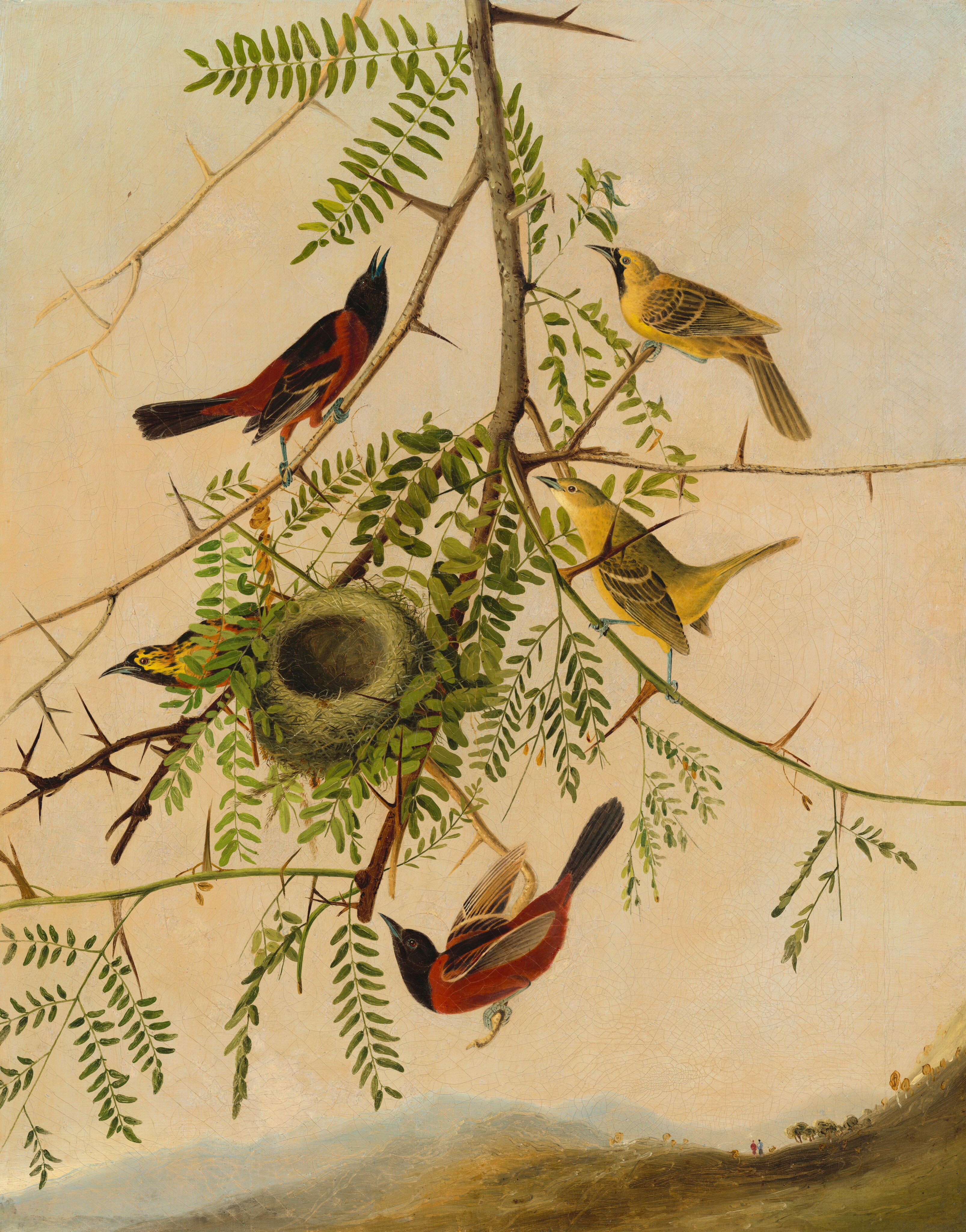 This is a painting of a branch with multiple birds perching on it, surrounding a round nest made of green fibers nestled amidst the leaves. The branch has green leaves and long, sharp thorns. The birds have distinct coloring and plumage. Two of the birds have red and black coloring, while the other three have yellow and black feathers. The branch hangs down from the top of the painting, and in the background is a wide, pale-blue and pink sky above rolling hills dotted with tiny trees and two minuscule human figures.