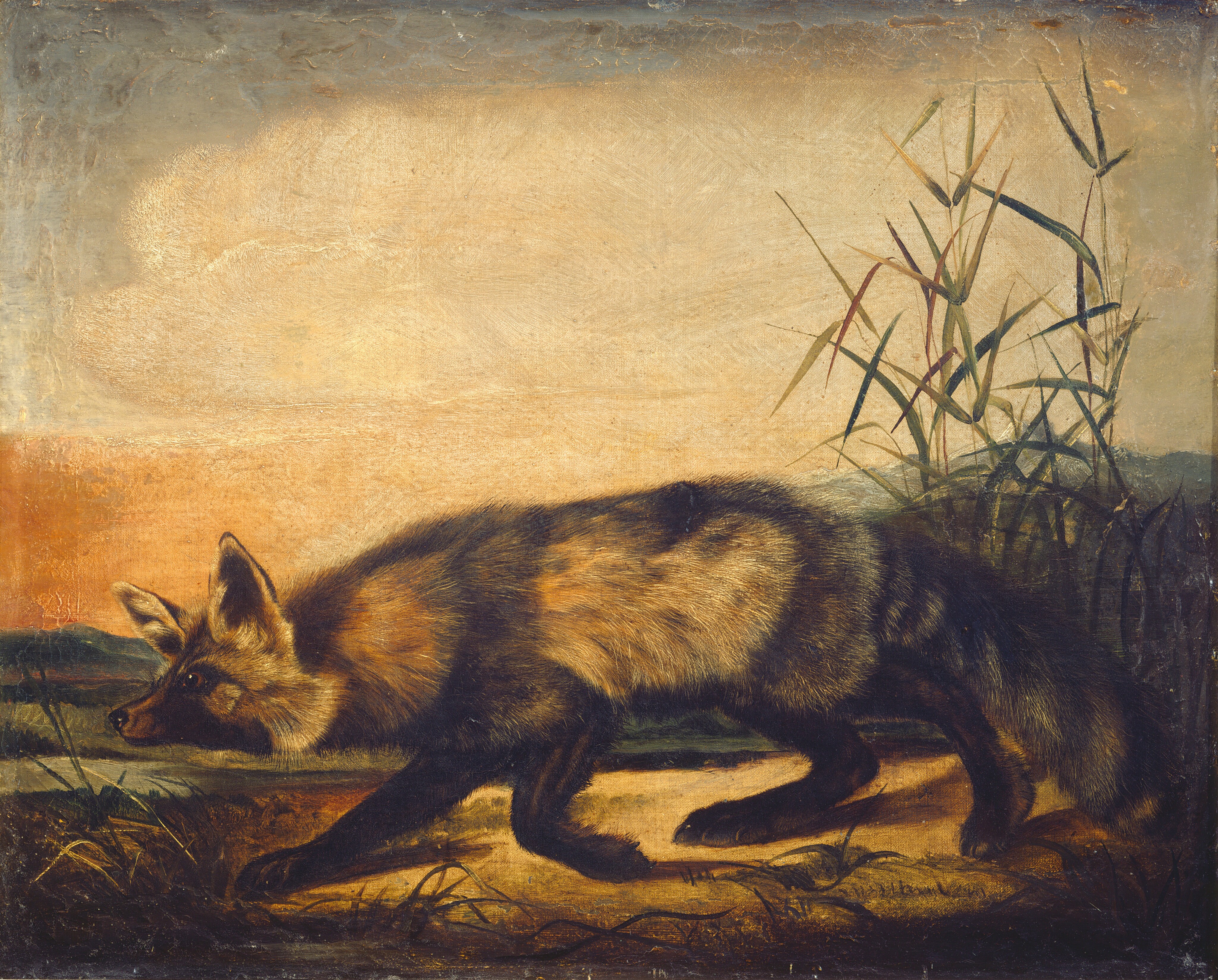 This is a painting of a fox walking towards the left through a landscape with tall grass. The ground is light yellow underneath the fox, with dark brown areas around the edges of the painting. Around the fox there are small shoots of grass in dark shades of brown, green, and yellow. Behind the fox, on the right, the grass is taller. The fox is painted in shades of white, yellow, and orange, with brown stripes across its body and tail. Its ears are up, its dark eyes look to the left, and its long bushy tail hangs down to the ground. In the background are low green hills, and the sky is mostly white, with a strip of light gray at the top and an area of burnt orange on the left side.