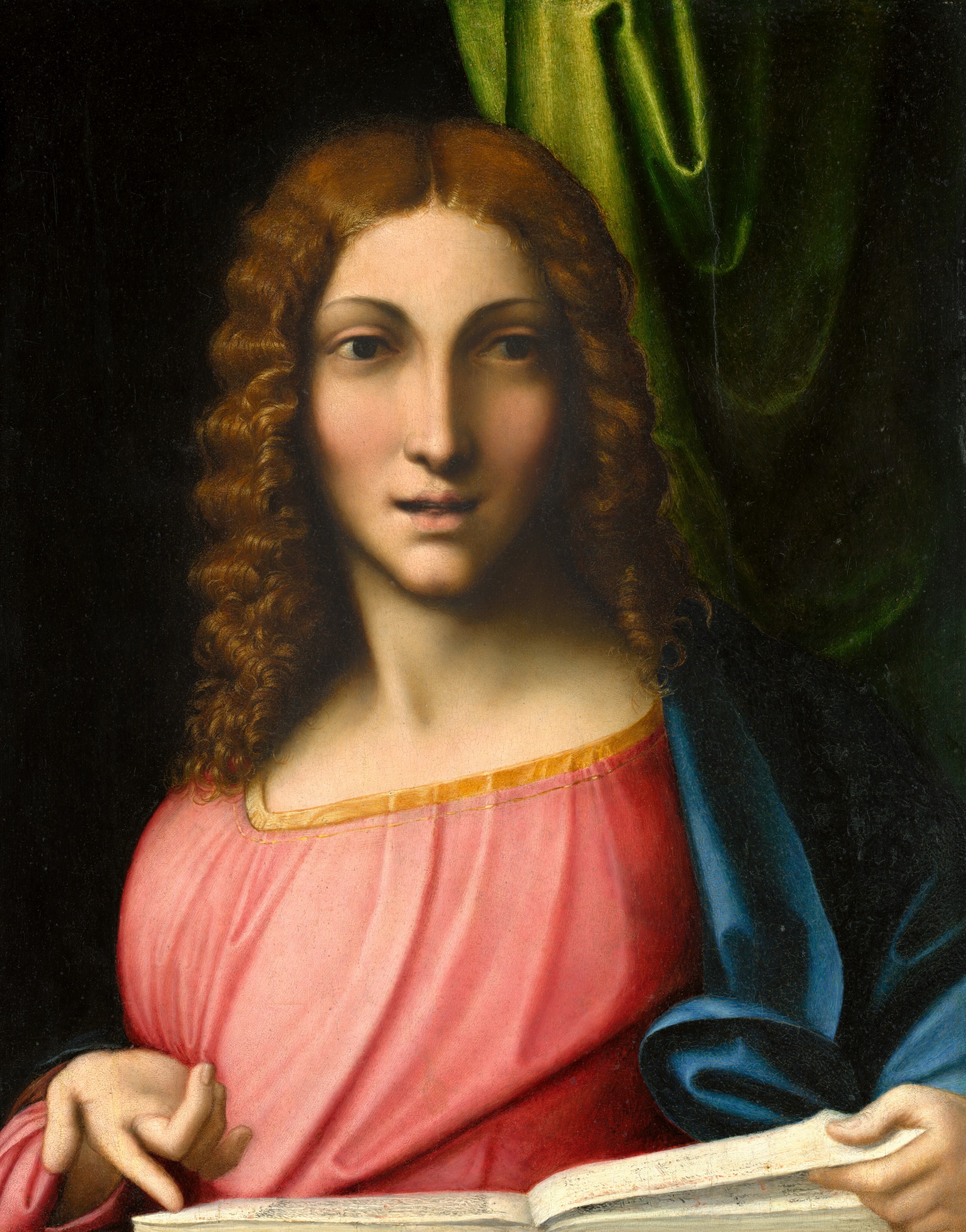 This painting shows a person from the waist up. Their gender is ambiguous. They have long, curly, light brown hair, fair skin, rosy cheeks, thin, arched eyebrows, a long, straight nose, and a small, slightly open mouth. They wear a peach-pink garment with gold trim under a blue cloth draped over their left shoulder. The person holds an open book and is pointing at a page with their right hand. The background is black, with a bright green curtain on the right.