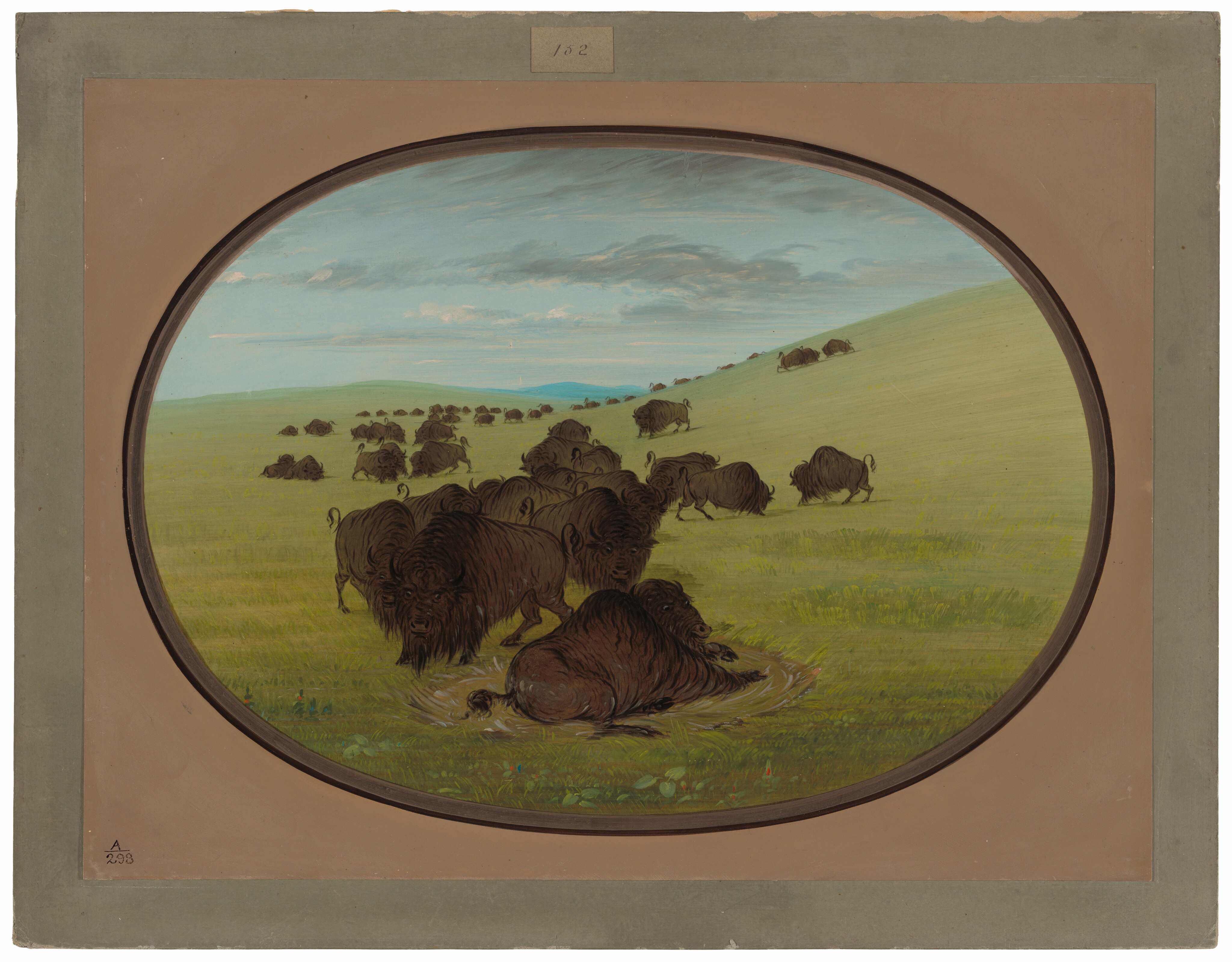 The image shows a landscape with a herd of bison on a slope. The horizon line is high, dividing the grassy field and sky. The bison are spread out, with those closer detailed, and those further away less defined. The brushstrokes are smooth, depicting fur and grass texture realistically. The color palette is serene, with earthy browns of the bison contrasting greens of the grass under a soft blue and grey sky.