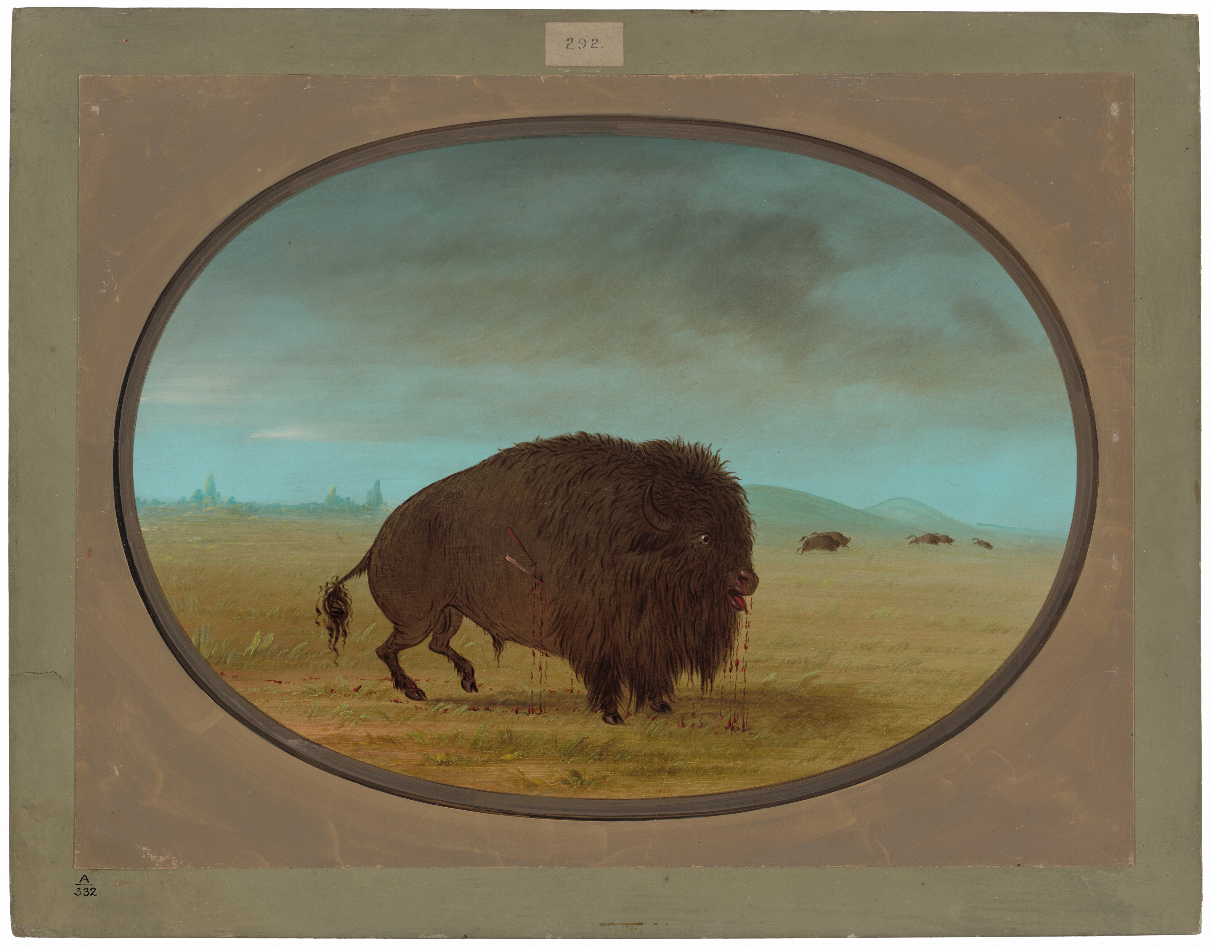 The painting shows a wounded bison in a prairie landscape, with other bison in the distance. The style focuses on detail and texture in the fur and grass. The color palette is earthy, with dark browns for the bison and muted greens and yellows for the grasslands against a sky transitioning from turquoise to gray. The scene conveys a sense of openness and solitude.