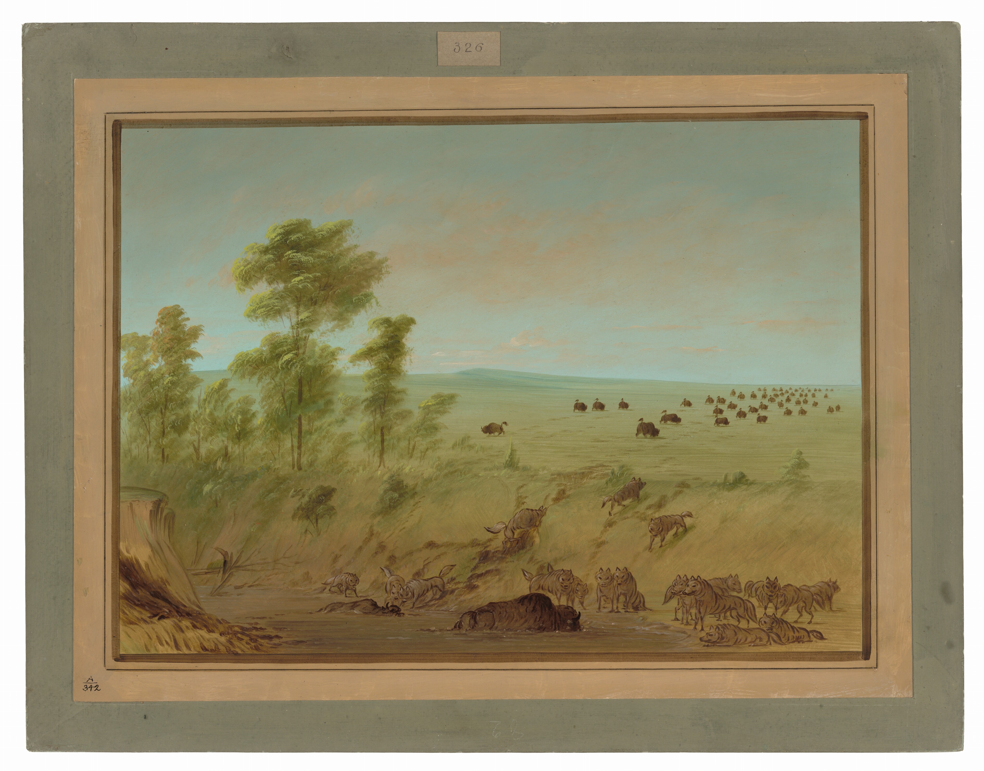 The image depicts a vast landscape with a horizon line dividing the sky and prairie fields. Large herds of buffalo are scattered on the plains, visible as dark silhouettes. The ground is covered in green vegetation and trees, with brushstrokes indicating movement. Wolves are gathered around a fallen buffalo, depicted in detail. The color palette includes earthy greens and browns for the ground and trees, contrasting with pastel blues and pinks of the sky.