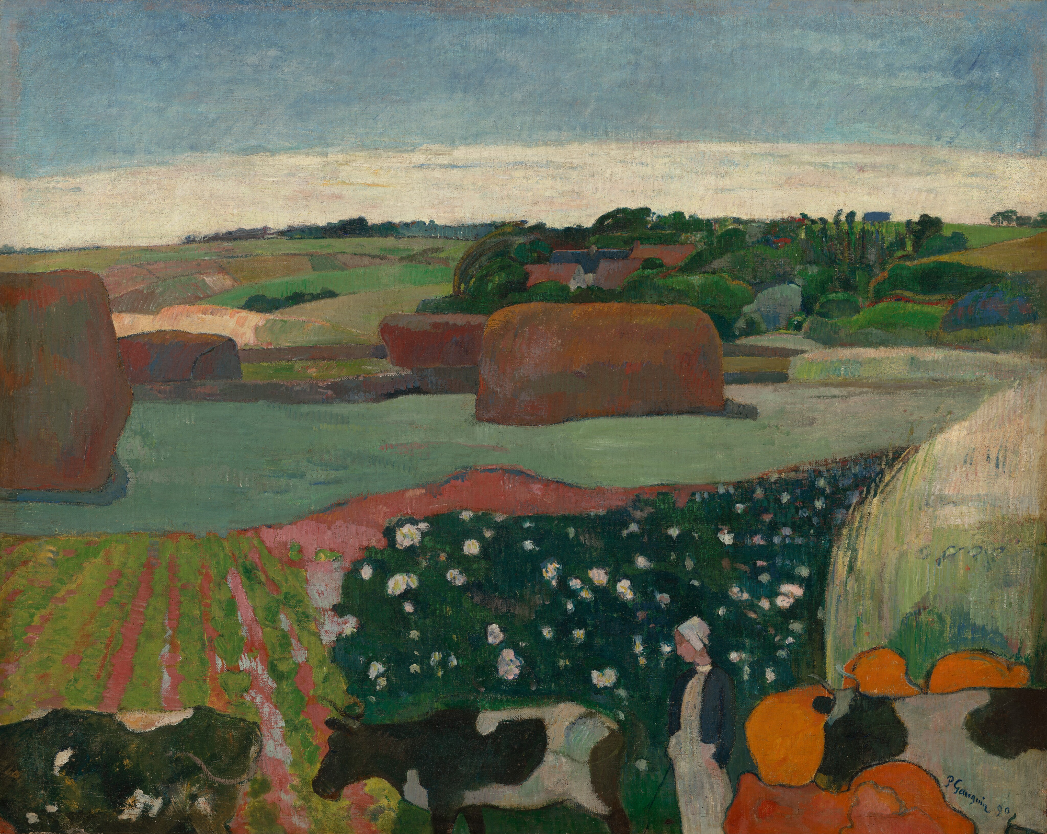 We look out onto a landscape with tawny-brown haystacks and trees among a patchwork of moss, lime, mint, and pine-green fields in this stylized, horizontal painting. The scene is painted with mostly flat areas of color. Closest to us, along the bottom edge of the canvas, a woman wearing a white cap and dress and a navy-blue jacket stands among three black and white spotted cows, which form a line facing our left in profile. Several round, tangerine-orange forms surround the head of the cow near the lower right corner. The strip of land on the other side of the cows is divided into alternating rows of spring green and coral pink to our left, and forest green dotted with white to our right. The landscape stretches to the horizon, which comes two-thirds of the way up the composition. Rectangular parcels of land are dotted with four rust-brown haystacks beyond the cows, and trees cluster around several brown roofs in the distance to our right. A band of cream-white clouds lines the horizon beneath the topaz-blue sky above. The artist signed and dated the work in dark paint against the white of the cow in the lower right corner: “P. Gauguin 90.”