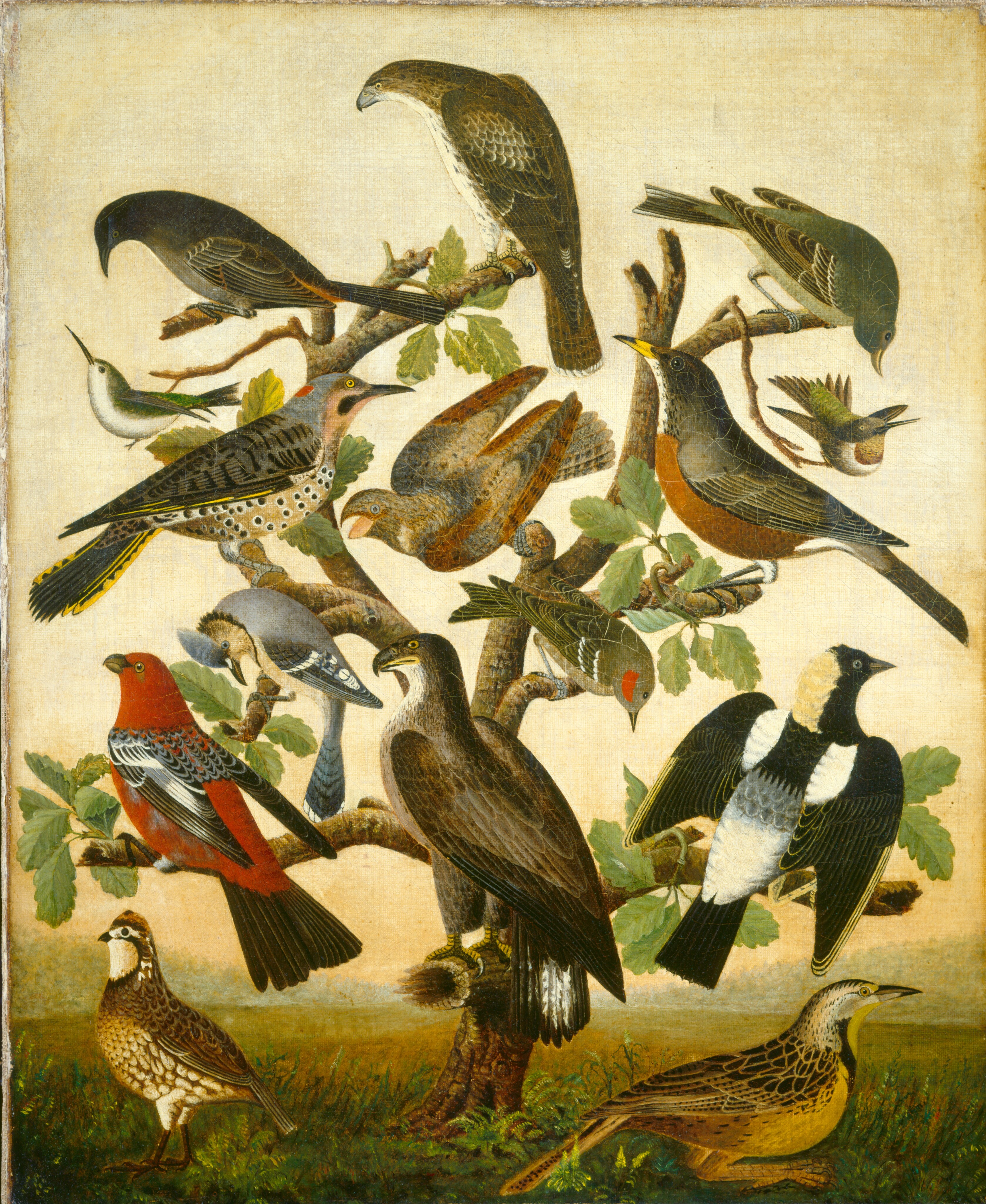 This painting shows multiple birds on and around a small, leafy tree. The birds are a variety of colors and sizes, including birds that look like hawks, blue jays, hummingbirds, magpies, and kestrels. They are shades of black, white, brown, gray, red, yellow, and pale blue. The birds are positioned at various heights on the small tree and on the ground below, all facing different directions. The ground is green, with small grasses and ferns, and the sky behind the tree is pale yellow.