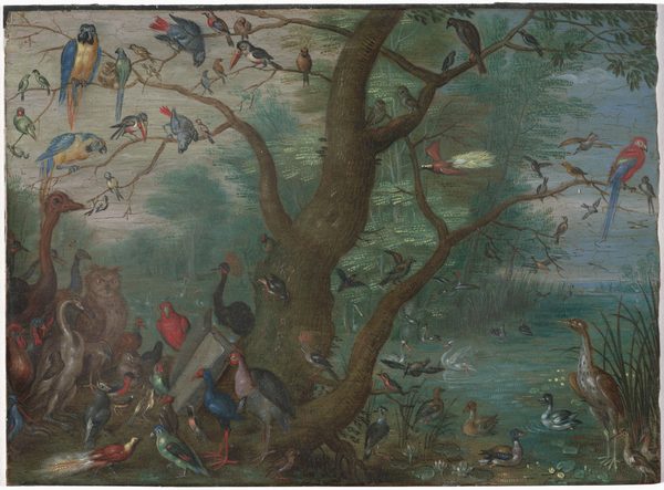 Dozens of multicolored birds of various sizes are arranged around a stout tree in this horizontal landscape painting. At least two dozen species of birds perch along the branches and crowd around the base. For example, there are birds with gold bodies, cobalt-blue wings, and hooked beaks in the upper left-hand branches. In the branches to the right a tomato-red bird with long, blue tail feathers is surrounded by small light brown and gray birds. An owl, peacock, ostrich, and turkey painted in muted browns and blues gather with other green, blue, red, and dark gray birds on the left side of the tree to look at an open book resting against the trunk. The bank with the birds is separated from a second grove of trees by the waterway, which splits near the lower right corner of the painting and winds into the distance to both the left and right. The grove across from us has slender green trees with feathery leaves among a bank of tall reeds. In the river in the lower right corner, ducks, swans, and a tall heron stand and float among lily pads. A few birds take flight while one comes in for a landing in the near distance, to our right. The sky above this area is slate blue. Ghostly touches of white along the river to our left suggest tall birds standing in the water. Beyond them, a hazy, peanut-brown field with tall trees marches into the distance under an overcast sky.