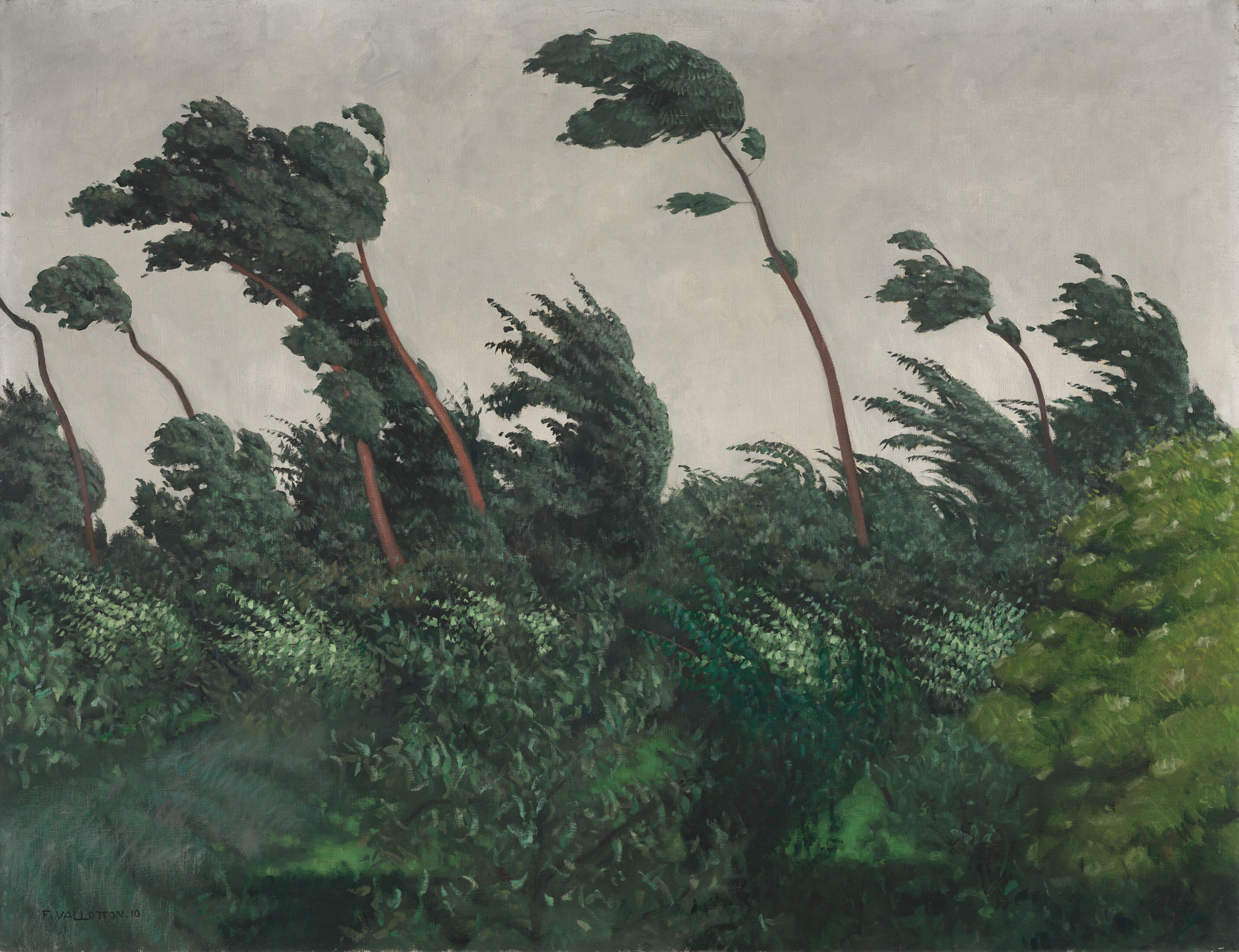Tall trunks and the canopies trees sweep to our left in a stiff wind in this horizontal landscape painting. The bottom half of the canvas is packed solid with leafy trees. Several spindly trunks shoot high above the canopy against a sky mottled with a sheet of pale gray clouds. The artist signed and dated the painting in the lower left corner, “F. VALLOTTON. 10.”