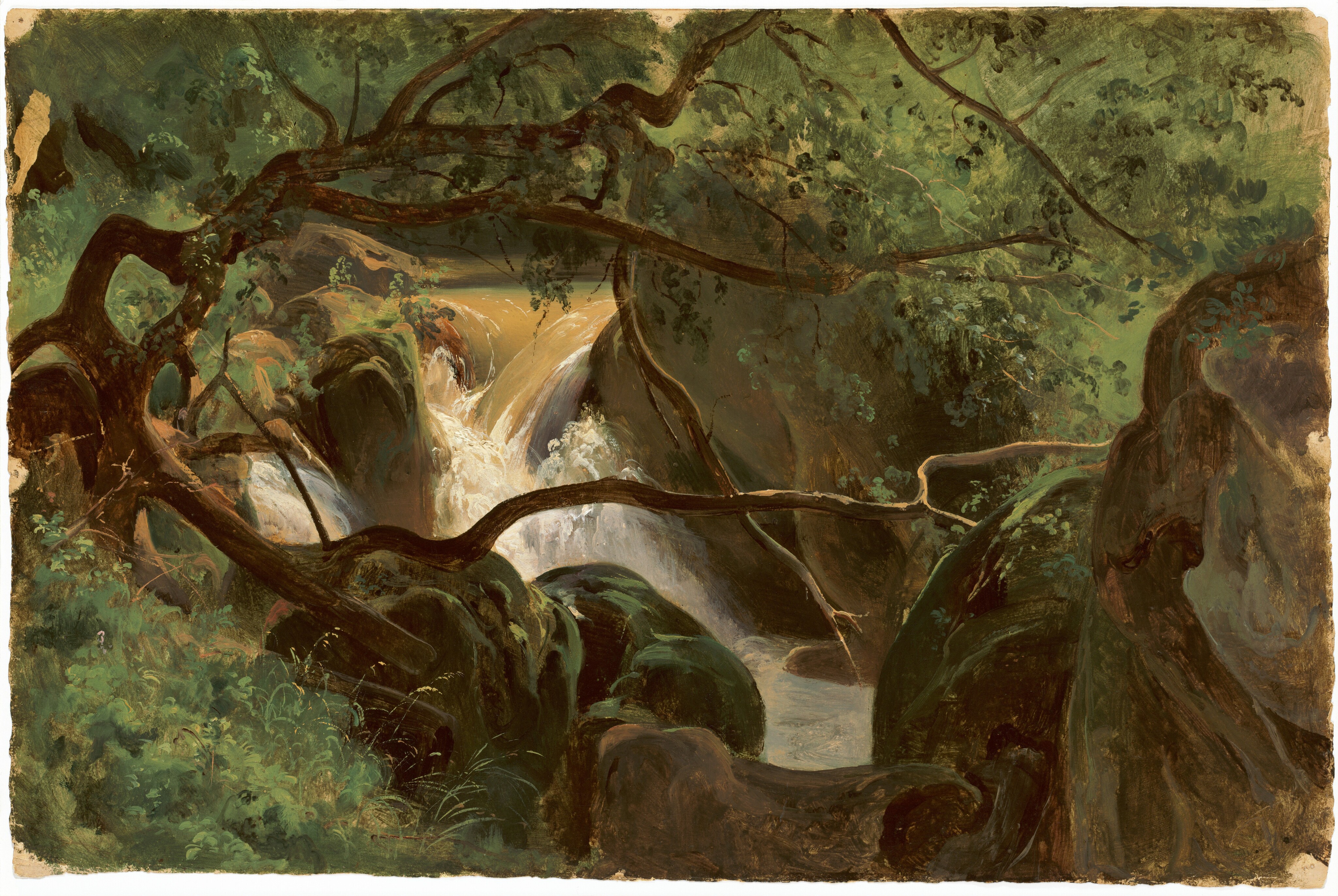 Slender tree trunks and branches reach across a waterfall framed by verdant green banks in this horizontal landscape painting. Boulders line most of the bottom edge of the composition except the lower left corner, which is taken over by plants. The arms of the tree or trees beyond this clump reach to the right in a loose web. Water crashes down a short waterfall also lined by boulders beyond, and the rest of the picture is filled with bright green foliage.