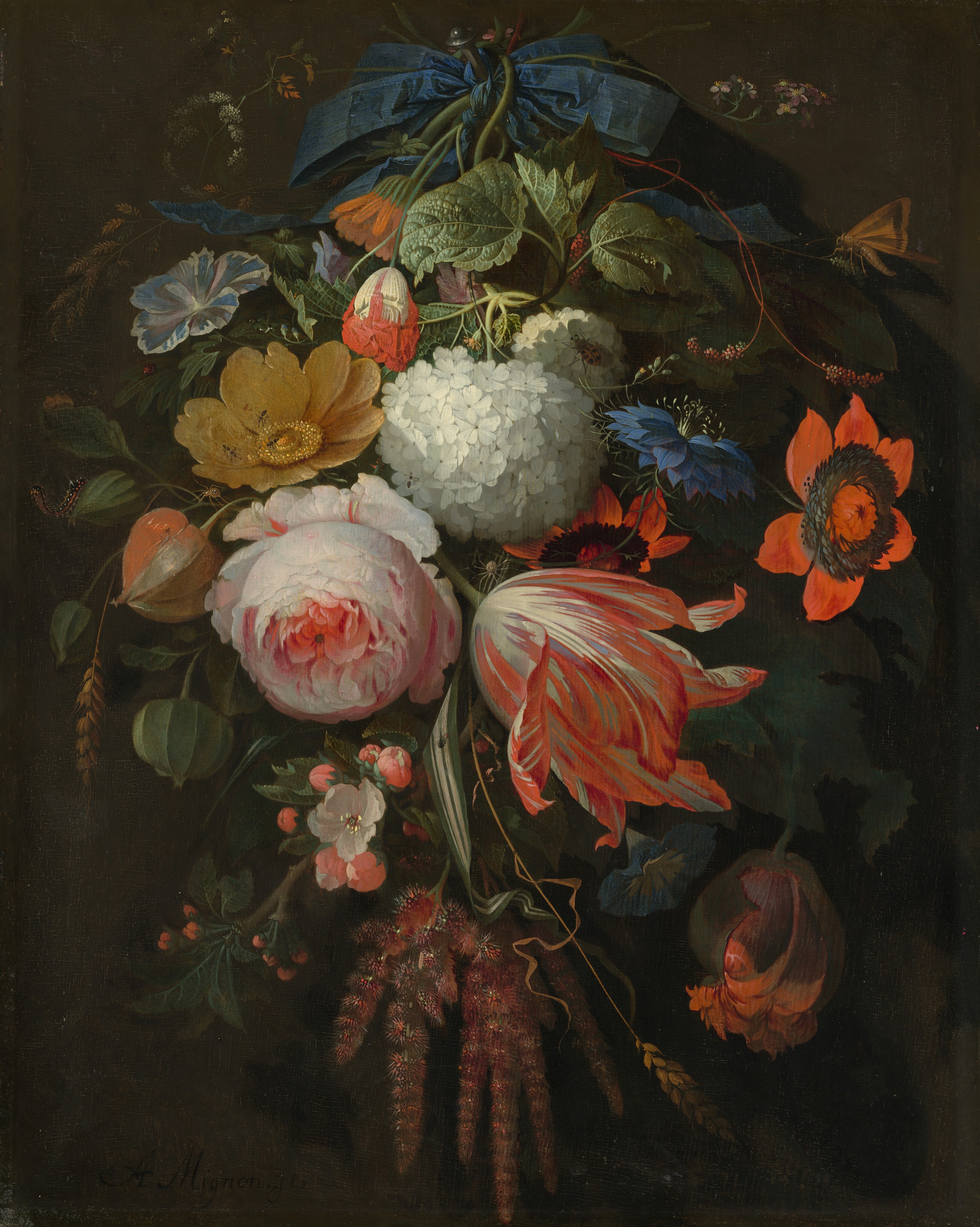 A bouquet of flowers against a dark brown background hangs from a sapphire-blue bow to fill this vertical still life painting. The three largest blooms make a pyramid at the center. A pale pink, flat-leaved carnation is to the lower right of this trio. A red and white striped tulip with flame-shaped petals is next to it, to our right, and a white viburnum bloom, which is made of dozens of smaller clusters, is above. A tan-colored spider builds a web at the center of these three blossoms. Using the face of a clock to work around this trio, we find a spotted bug on a smaller viburnum and some frosty green leaves at noon. A muted orange moth rests on a stalk nearby. Down the right side, the layered vivid blue petals of a love-in-the-mist explode like a starburst. Two coral-red peonies, a mostly closed peony, a topaz-blue morning glory, and the fuzzy fingers of amaranth bring us to six o’clock. Up the left side are delicate pink crab apple blossoms, a spray of Chinese lanterns, a yellow rose with ants crawling across its splayed petals, a striped morning glory, and a few blue, orange, and red buds. A caterpillar rears up on a Chinese lantern bud and a ladybug sits on a leaf nearby. A few stalks of wheat are scattered throughout. Stems weave through the blue ribbon at the top, which is tied around a protruding nail. The artist signed the lower left corner, “AB Mignon f,” with the AB conjoined in a monogram.