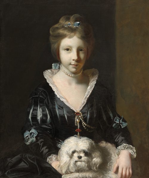 This painting depicts the upper half of a seated young woman who is facing forward. She has fair skin, pale eyebrows, gray eyes, and thin lips in a neutral expression. The right side of her face is partially in shadow. Her light brown hair is styled up with a blue ribbon and pearl ornaments. She wears a black dress with lace detailing, a red gem, and pearl strands at the neckline. The dress also features blue slits in the arms, blue bows at each elbow, and lace cuffs at the end of the long sleeves. She wears a pearl necklace with a blue bow in the back and holds a small white dog on her lap. The background is dark brown, with a vertical strip of lighter brown on the right.