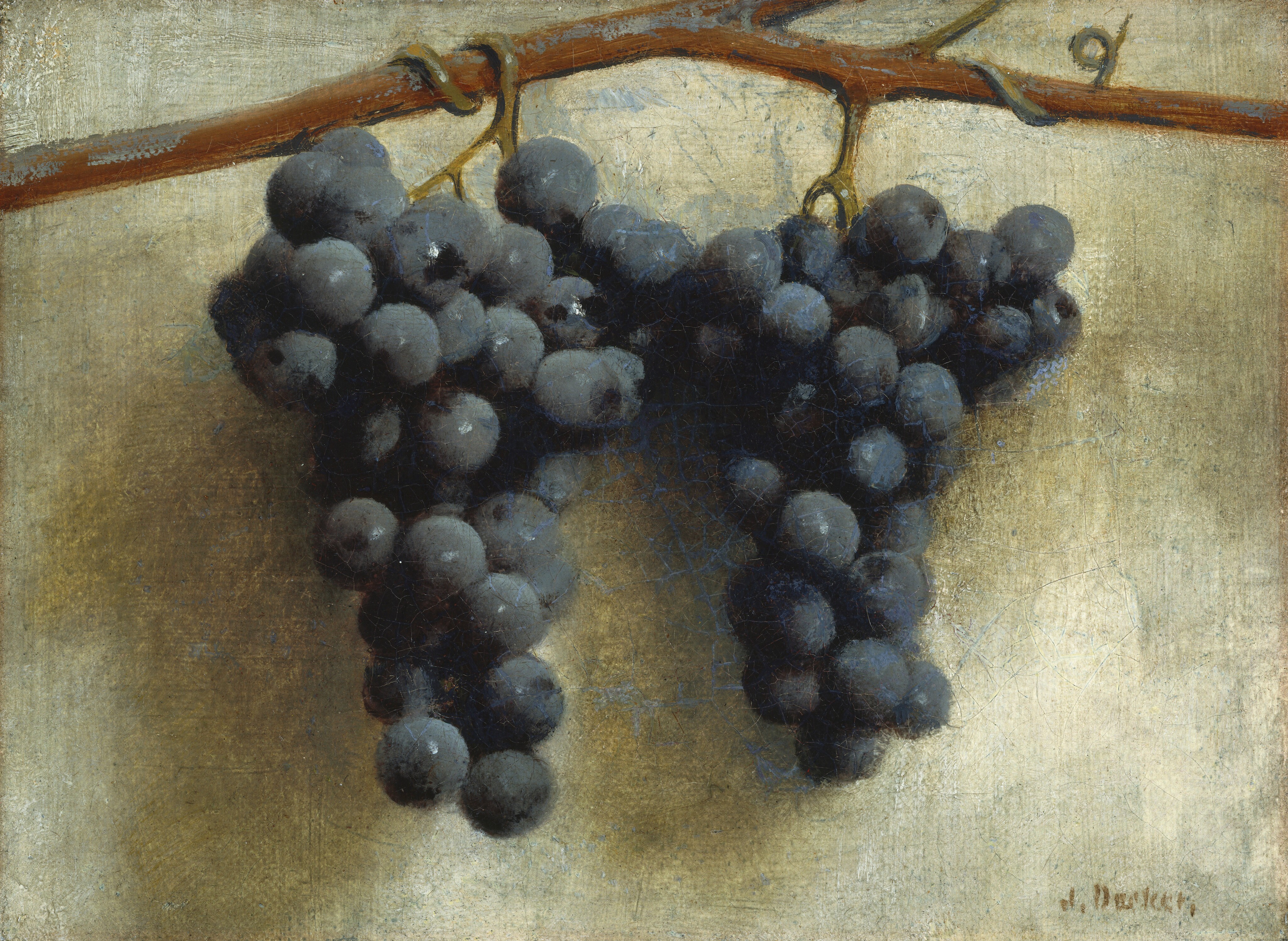 In this painting, two clusters of dark blue-black grapes hang from a thin brown branch against a beige background. The branch stretches horizontally across the top of the painting, and olive-green vines from the top of the grapes wrap around it. The grapes reflect light and cast dark shadows on the beige wall behind them.