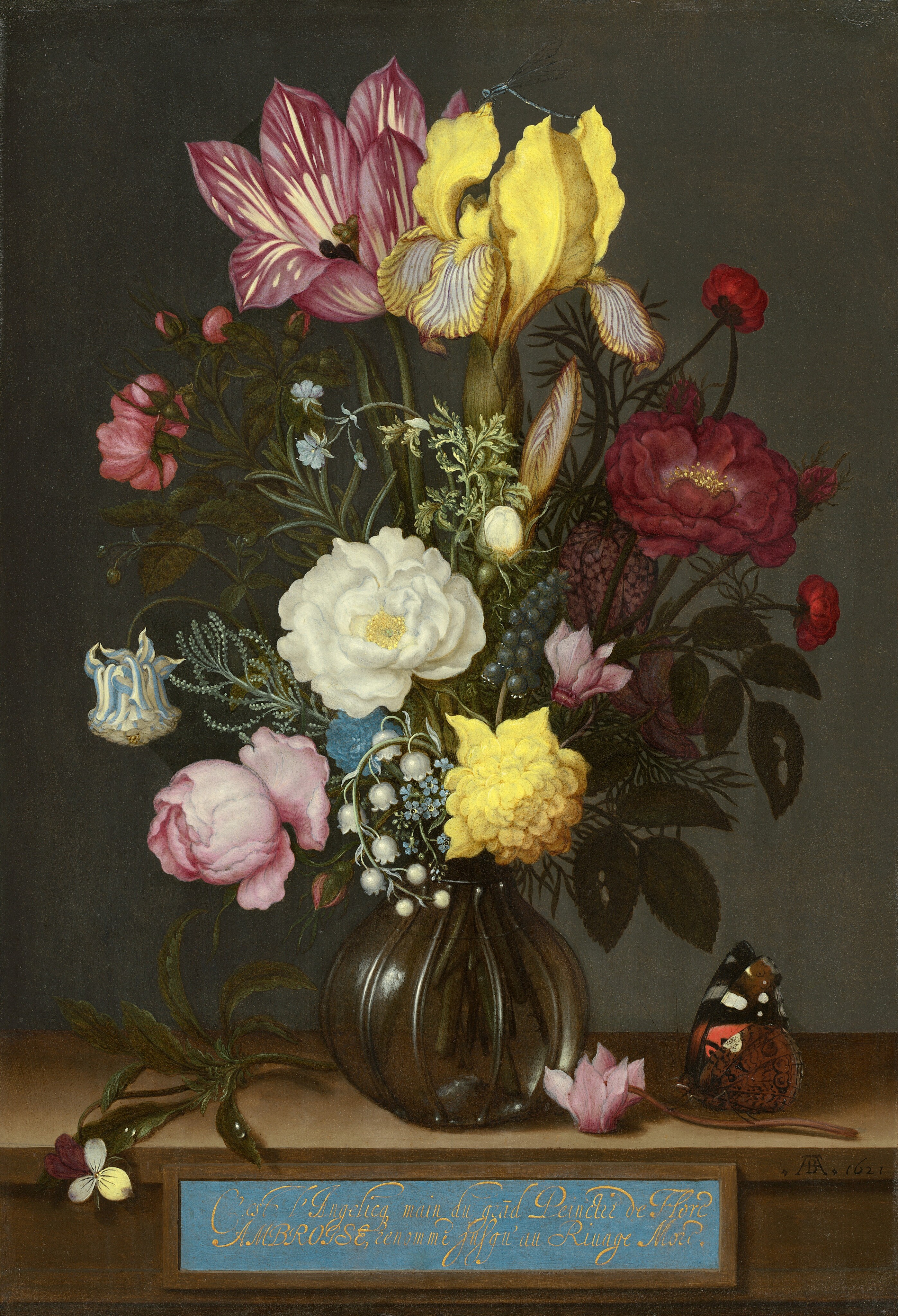 Gathered in a round glass vase, a tall bouquet of flowers in shades of light and deep pink, sunshine yellow, and white with pine-green leaves nearly fills this vertical still life painting. Shown against an gray background, the vase sits on a narrow ledge, perhaps made of wood. A label with looping, cursive French text painted in gold against a baby blue background is affixed to the front of the ledge, along the bottom edge of the composition. The text reads, “C'est l'Angelicq main du grad Peinctre de Flore AMBROISE, renommé jusqu' au Rivage Moré.” A few of the flowers draw the eye, including a tulip and iris at the top of the bouquet. To our left, the tulip is mauve pink with cream-colored streaks, and one petal folds down to reveal the stamen inside. Next to it, a damselfly, an insect like a delicate dragonfly, rests on the vibrant yellow iris. The petals curling down from the iris are veined in muted burgundy red. Flowers filling in the bouquet below include a shell-pink cyclamen, a white gardenia, a closed blue and white striped columbine, a slate-blue grape hyacinth, lily of the valley, pale blue forget-me-nots, and a pink peony interspersed with leaves and greenery. The round glass vase has a narrow opening. A sprig of viola rests to our left of the vase on the ledge, and an orange, black, white, and brown butterfly perches on the stem of a pink cyclamen laying to our right of the vase. The artist signed the painting with a monogram and dated it in dark paint to our right on the face of the ledge: “AB 1621.”