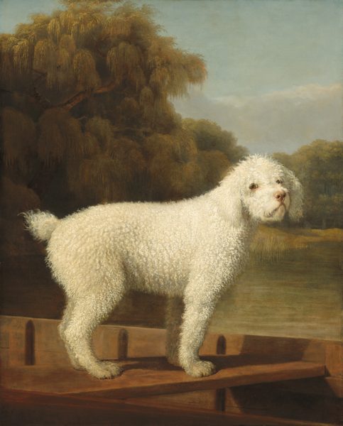 A dog with short, curly, white hair stands in a wooden boat facing our right almost in profile, though it turns its head to look at us in this vertical portrait painting. The dog spans nearly the width of the canvas and is close to us. The dog’s ears hang down the side of its face to its chin. Its eyes are light brown and rimmed in black, and the lower lids are pink. The dog has a thick torso covered with tight curls, and it has a short puff of a tail. Its front legs are straight and the hind legs might be slightly bent. The dog stands on a slat spanning the width of the boat, which is angled away from us to our left. The landscape behind the has a calm, sage-green body of water with a tall, willow-like tree to our left and a lower band of leafy trees to our right. A few smoke-gray clouds float over the treetops in an otherwise pale blue sky.