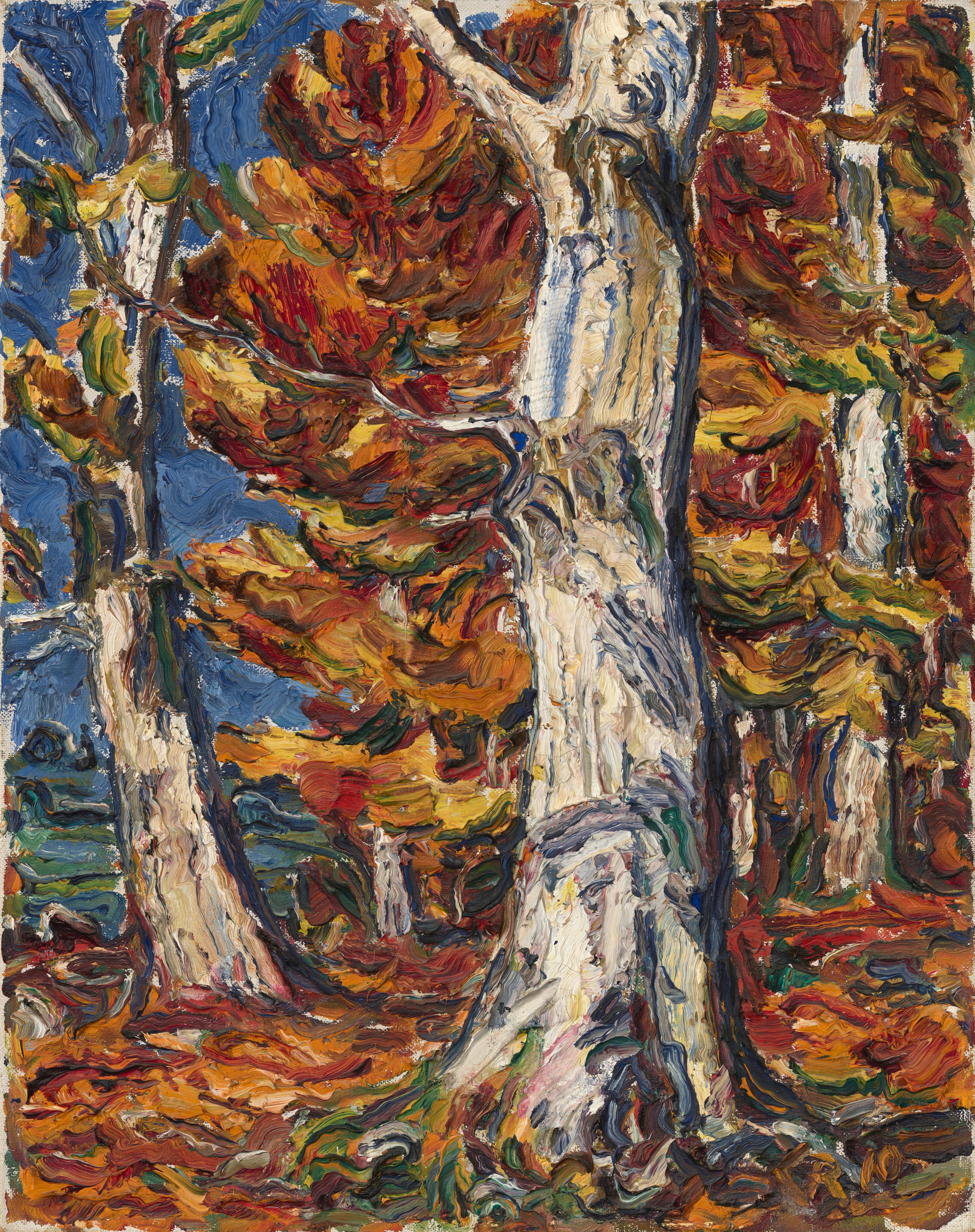 The painting depicts birch trees and autumn foliage. The composition is filled with white-gray tree trunks and colorful leaves. The largest tree is to the right of center, beginning at the bottom of the painting and appearing to continue beyond the upper edge. The color palette includes deep oranges, reds, and yellows for the leaves, with some dark blues and greens suggesting shadows. The dark-blue sky is partially visible behind a tree on the left. The paint has been applied in thick, swirling strokes.