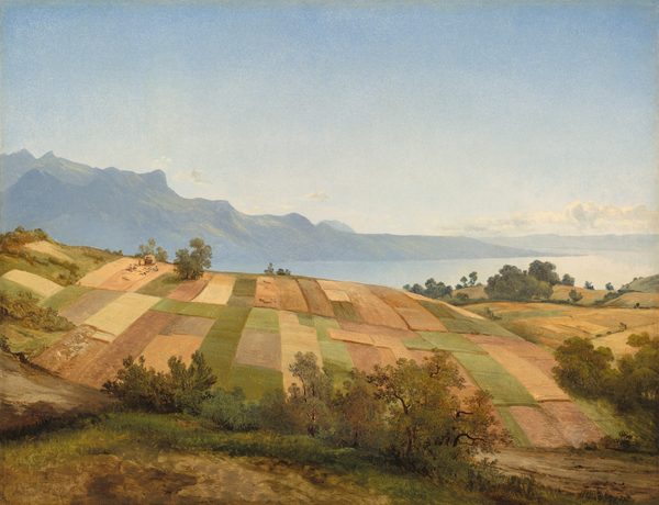We look out over a patchwork of cultivated fields that slope down to our right and back to an ice-blue lake in this nearly square landscape painting. Rectangular fields fill the lower half of the composition in fern green, caramel brown, and golden tan. Sage-colored trees and bushes with dark brown trunks and branches separate the strip of grassy earth closest to us from the fields just beyond, and are scattered like tufts through the landscape. A rocky, slate-gray mountain brushed with lime-green trees that rises along the left edge of the canvas curves around a wedge of the arctic-blue lake. A few wispy cream-white clouds line the horizon, which comes about halfway up the composition.