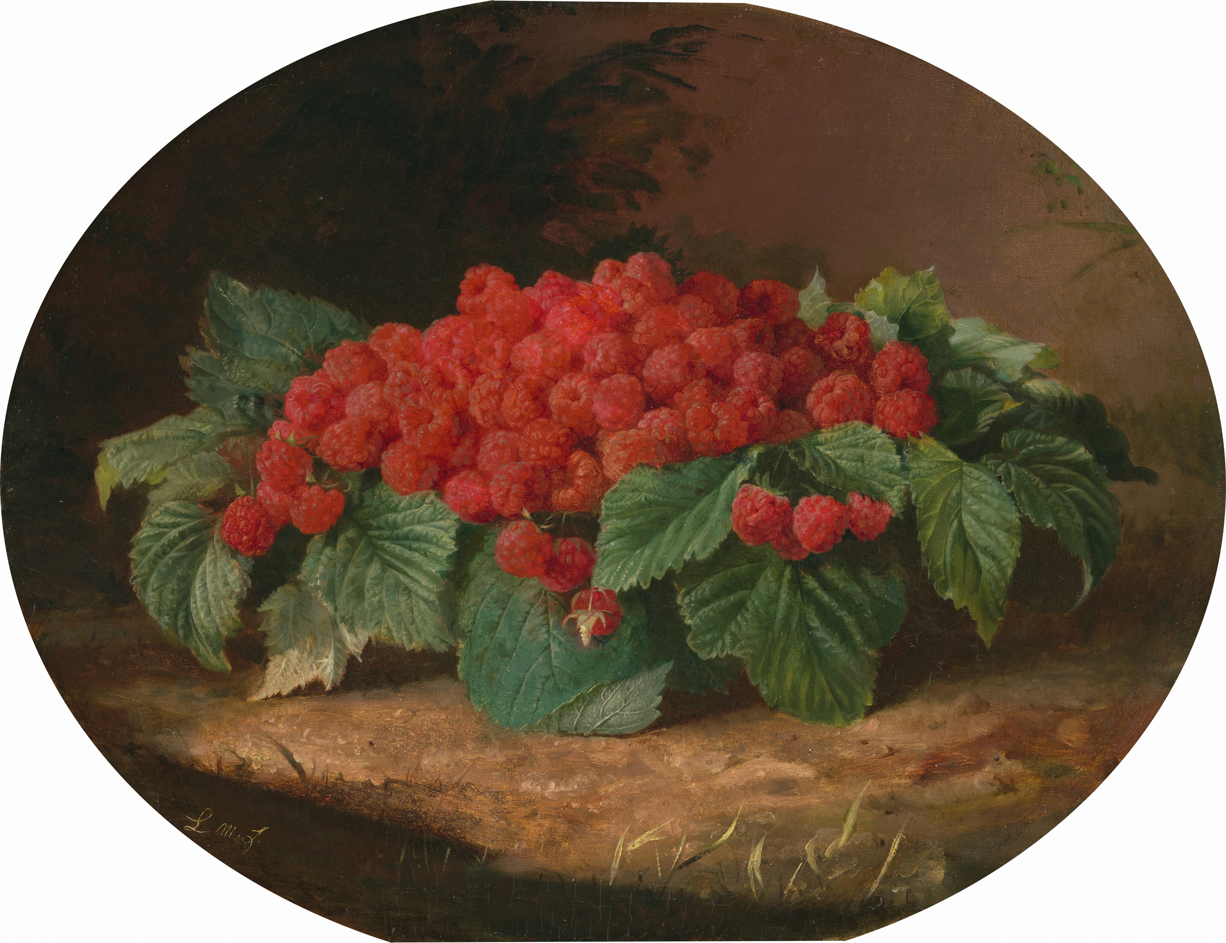 In this oval painting, a cluster of ripe red raspberries is surrounded by green leaves.  The raspberries are in the center of the painting, surrounded by the leaves that extend towards the edges. Some berries hang from thin green stems over the leaves, towards the light brown ground. The background includes some shadowed green plants and a brown sky.